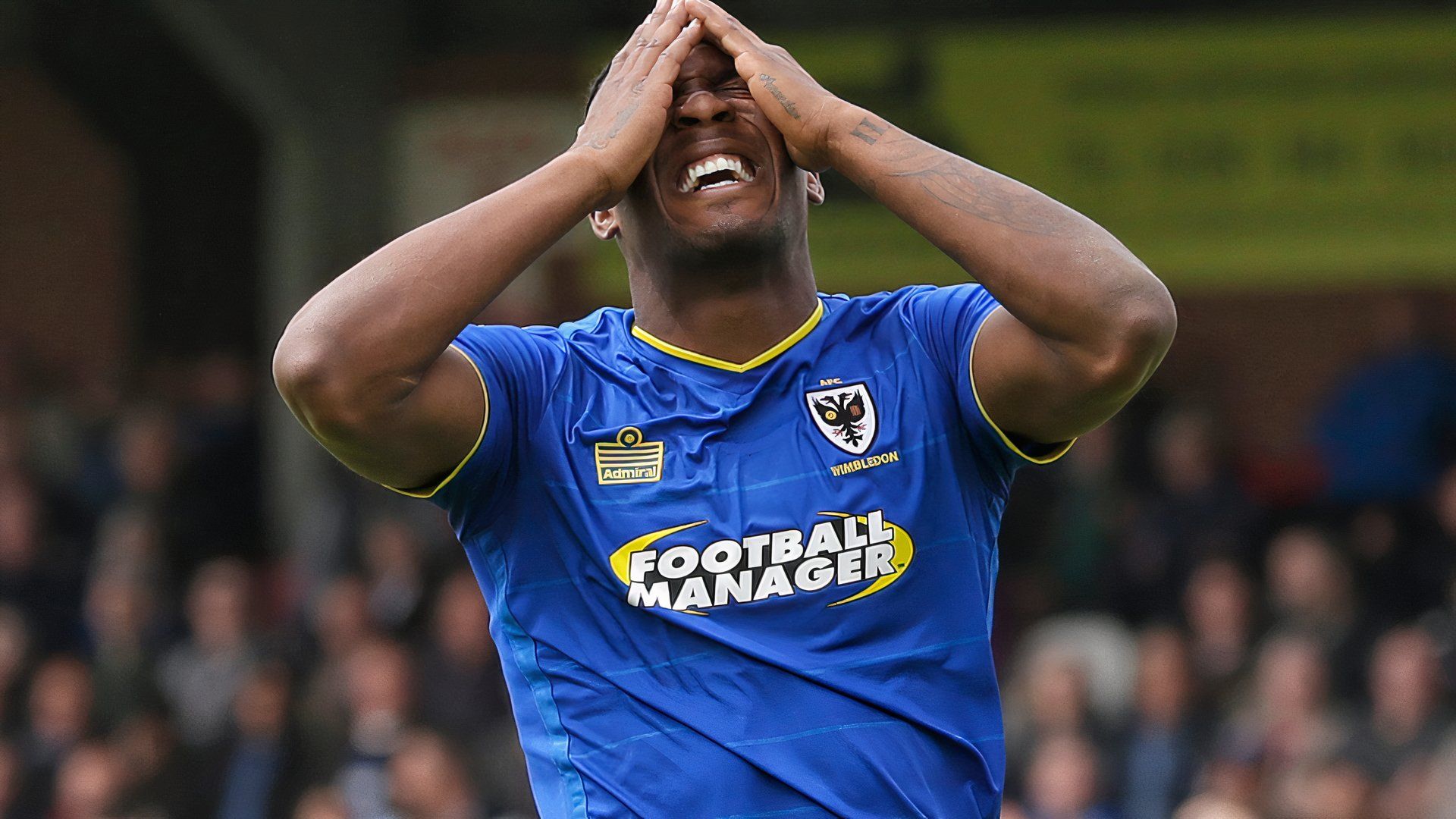 Dom Poleon AFC Wimbledon