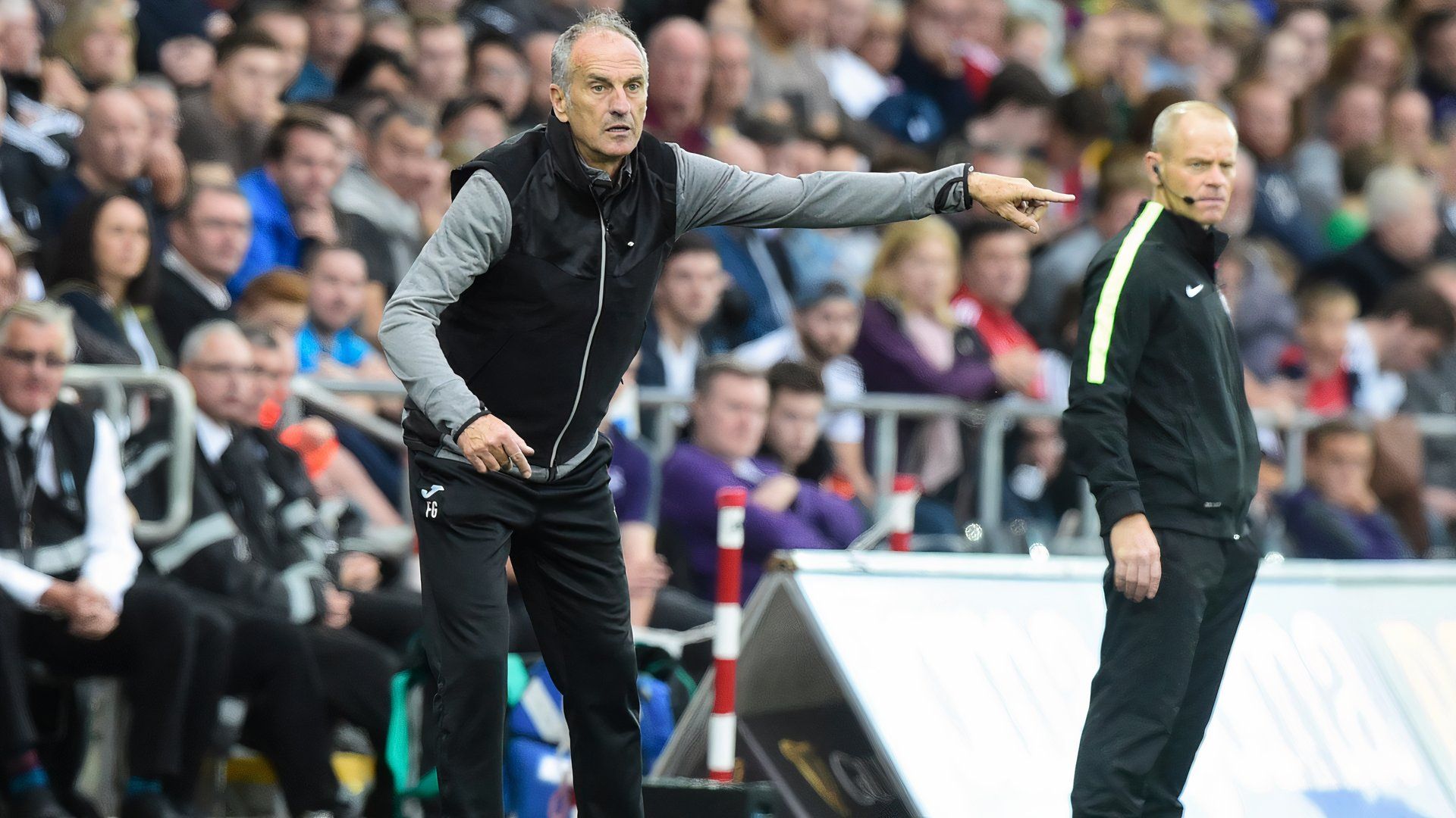 Francesco Guidolin Swansea