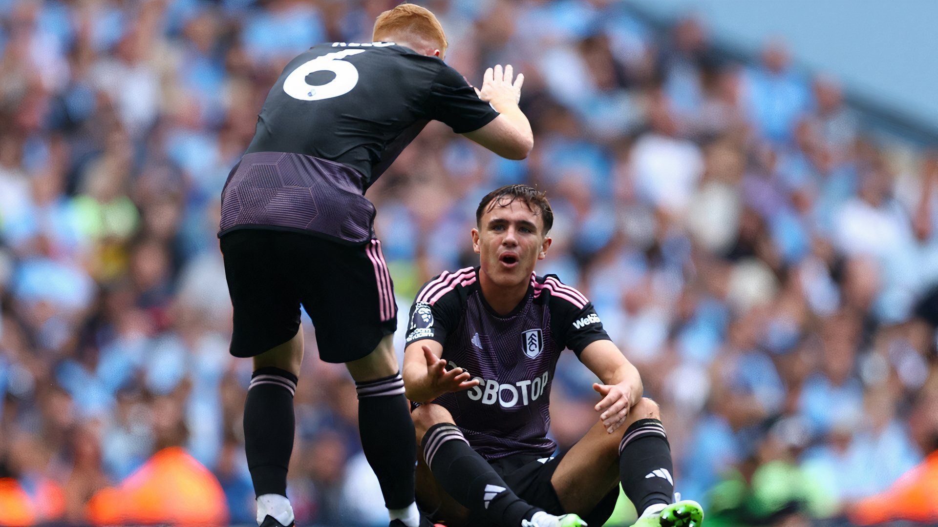 Fulham's Luke Harris