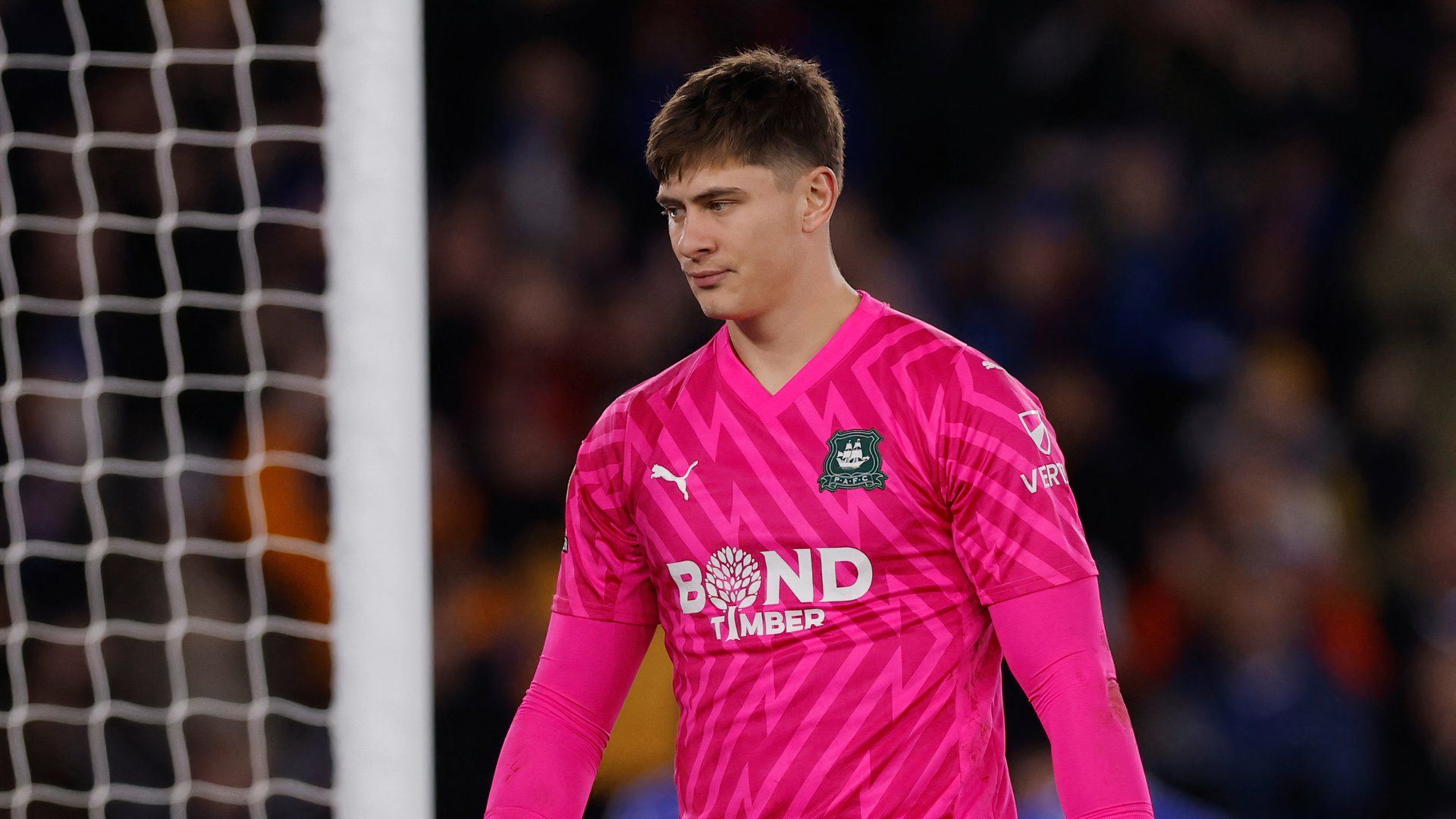 Sheffield United urged to pursue Carl Rushworth amid Plymouth Argyle ...