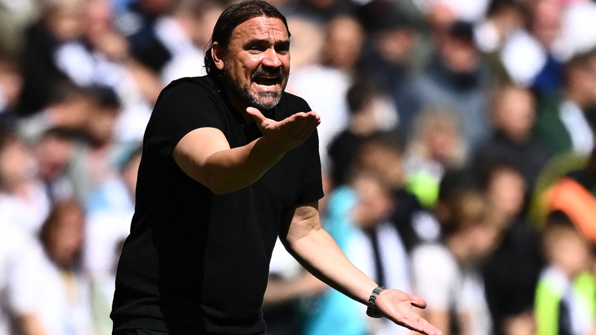 Daniel Farke frustrated at Leeds United's play-off final defeat