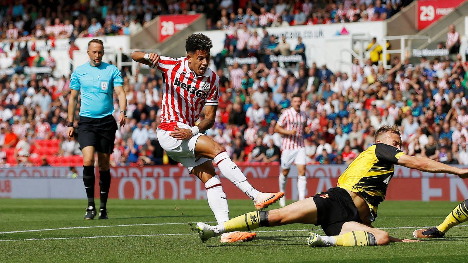 Voldigall Andre Vidigal, Stoke City exit fears eased
