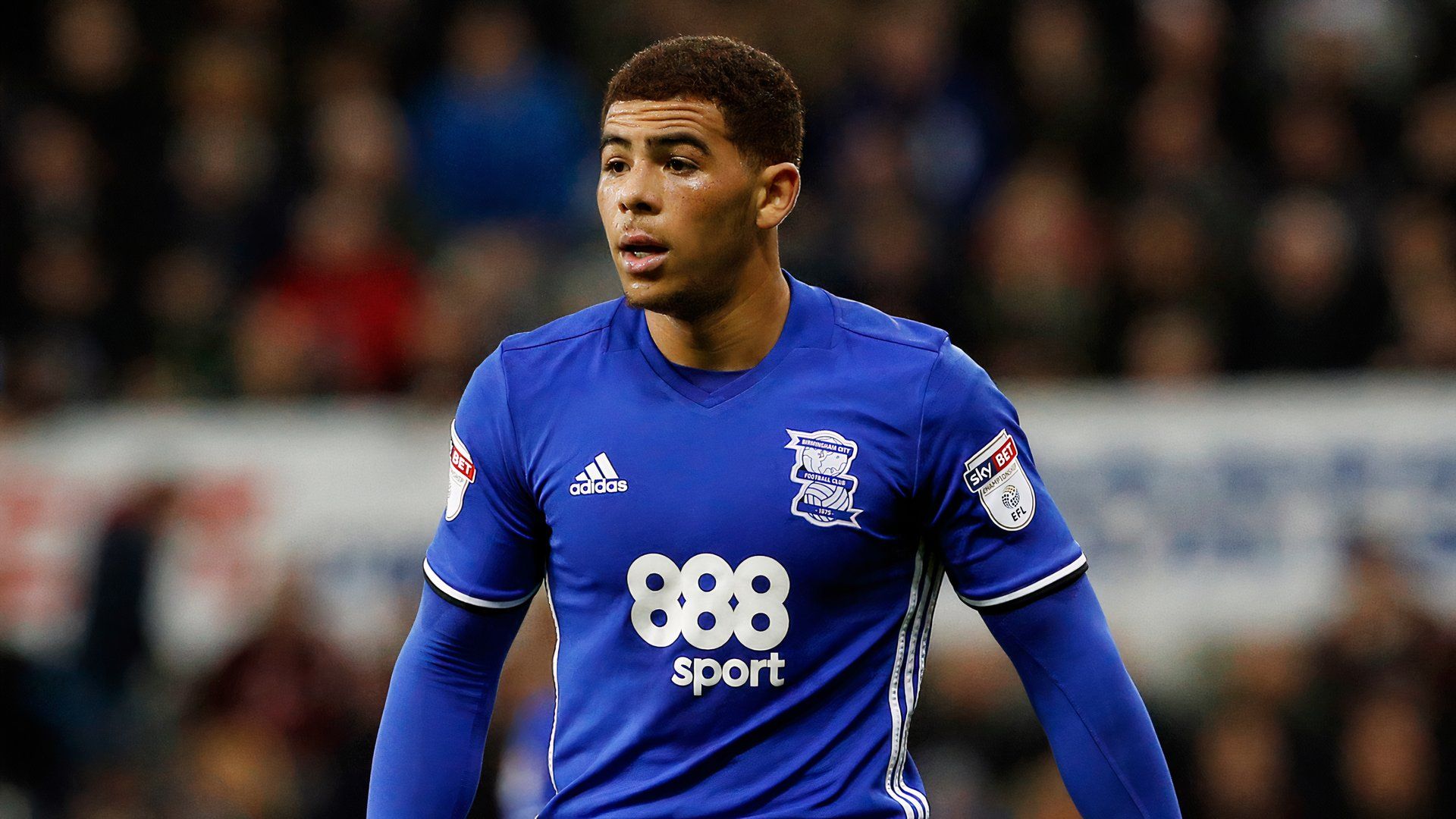 Che Adams Niềm Hy Vọng Hàng Công Hiện Tại – Vai Trò Quan Trọng