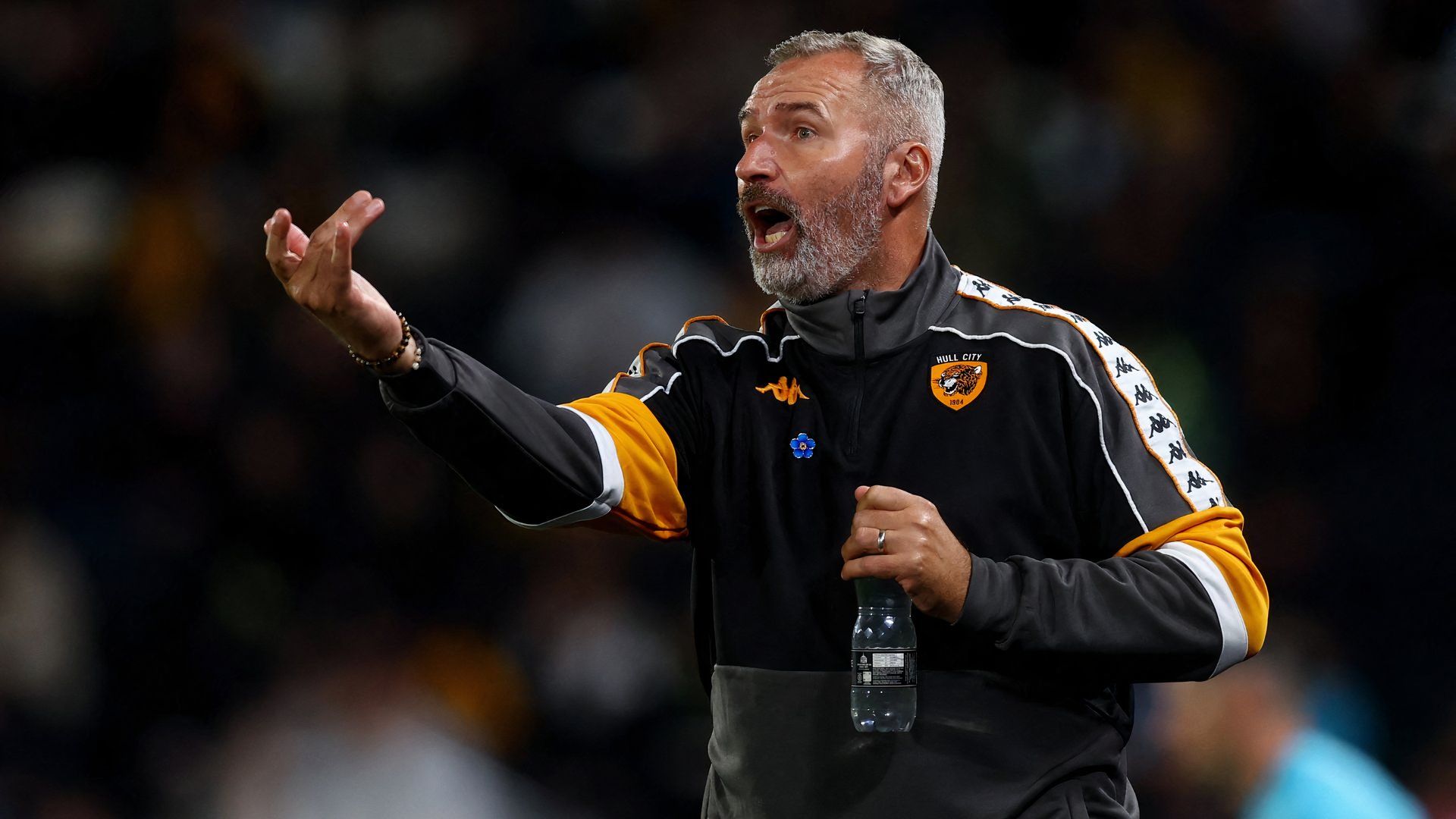 Tim Walter in charge of Hull City