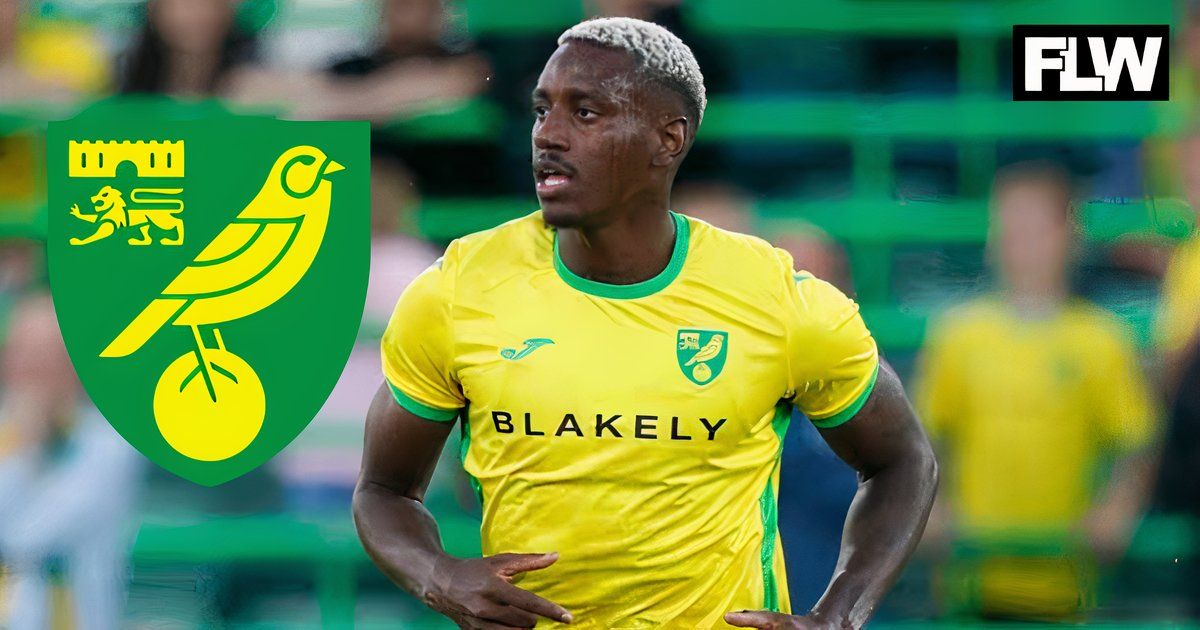 Norwich City lauded for Jose Cordoba signing who is similar to Ben Godfrey