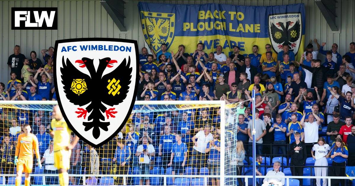 Reading FC issues will have AFC Wimbledon thankful they didn’t make big ...