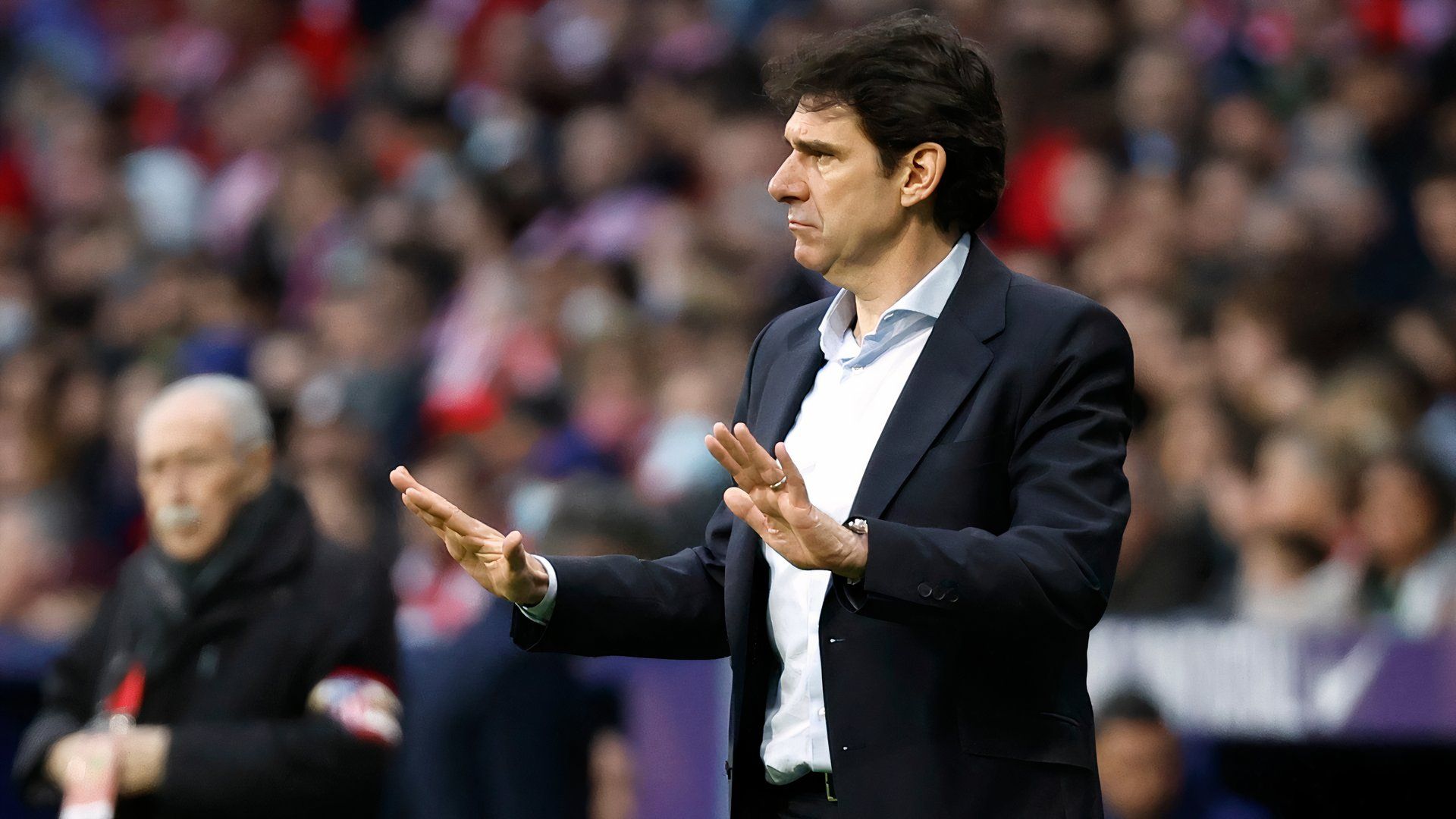 Aitor Karanka