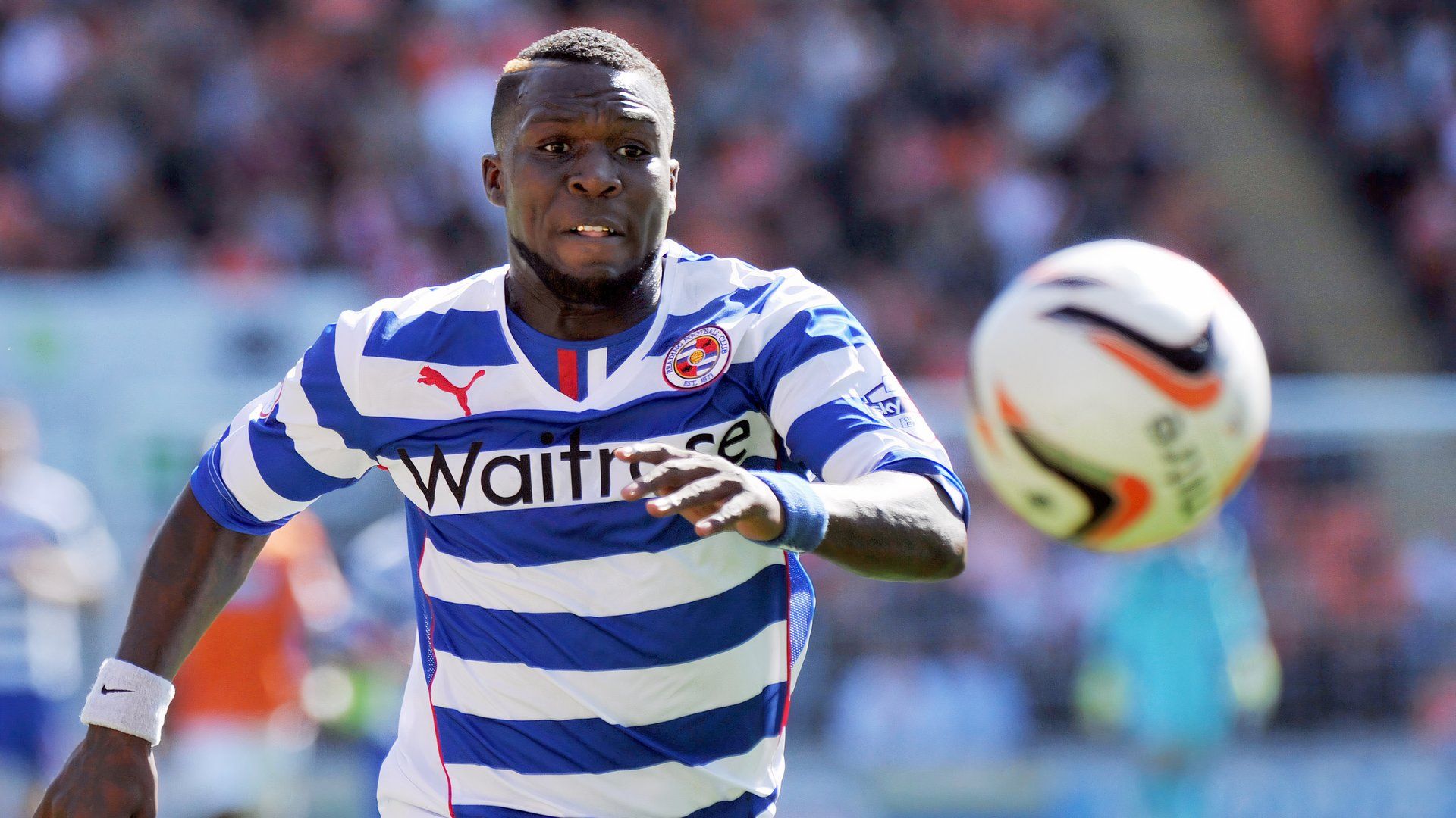 royston drenthe