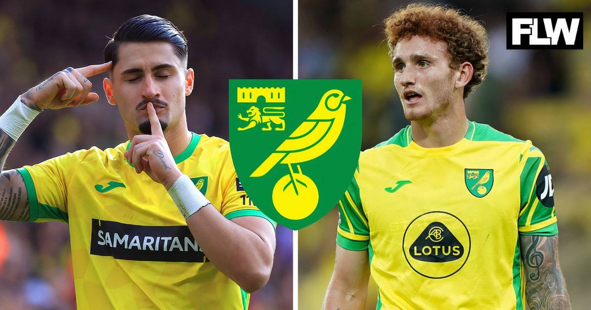 Norwich City: £20-25m valuation claims for Josh Sargent and Borja Sainz