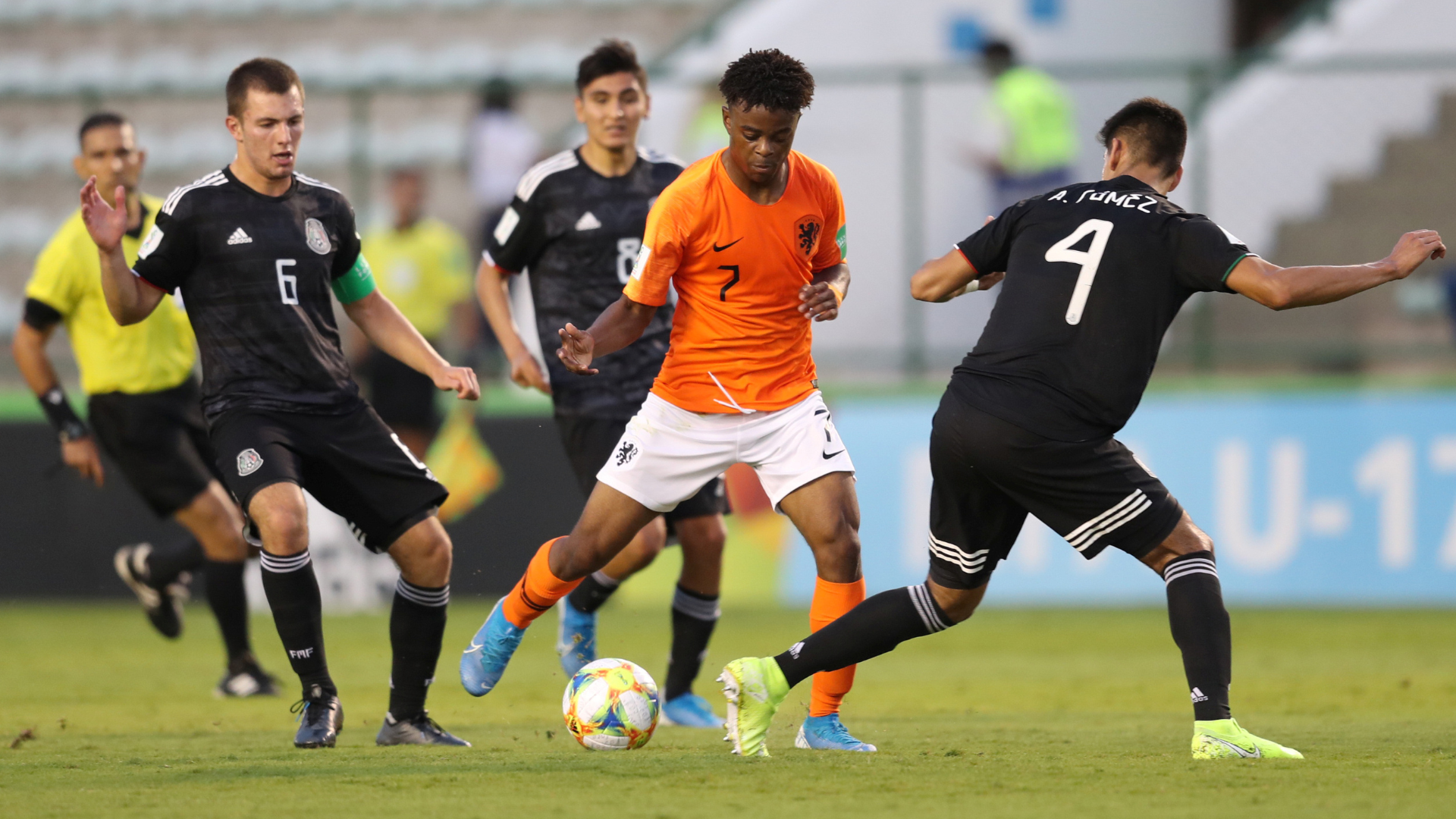 Copy of FLW 169 IMAGE -56