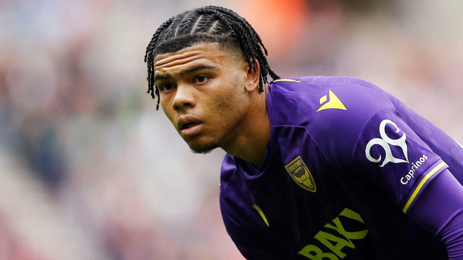 Port Vale & Plymouth Argyle chasing transfer agreement for Tottenham striker Dane Scarlett - Football League World