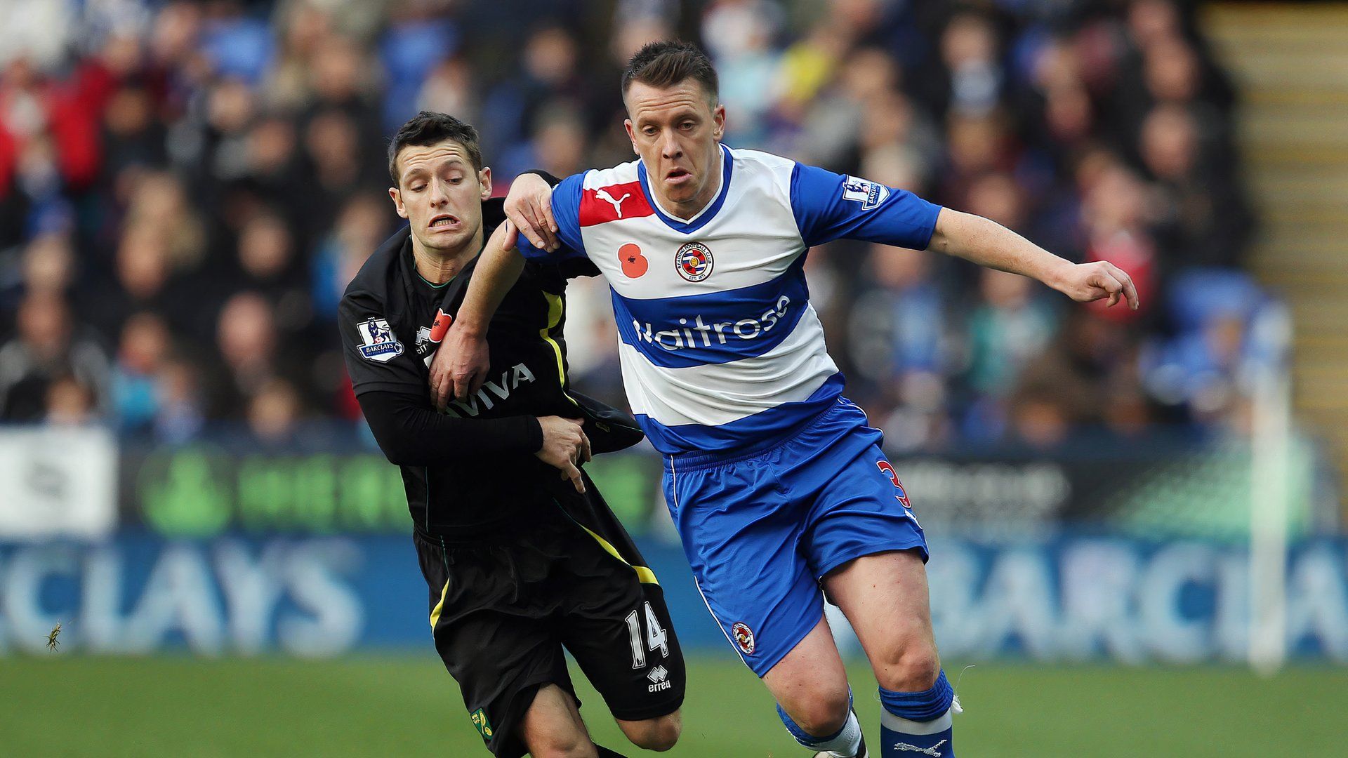 Nicky Shorey Reading