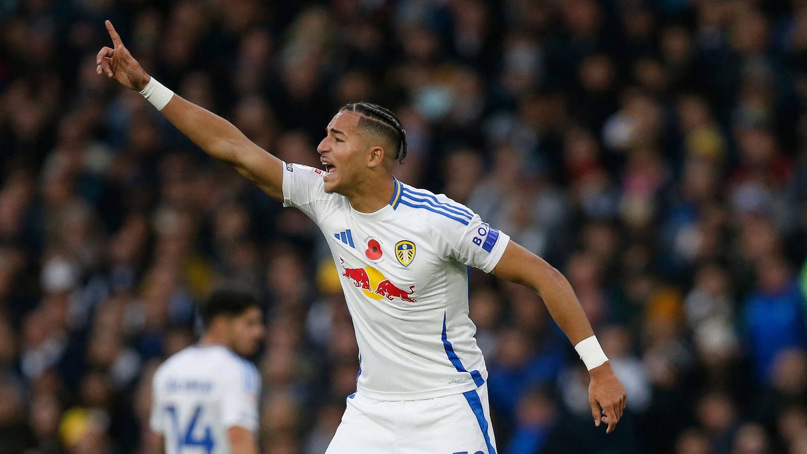 Wrexham AFC weighing up summer transfer move for Leeds United player