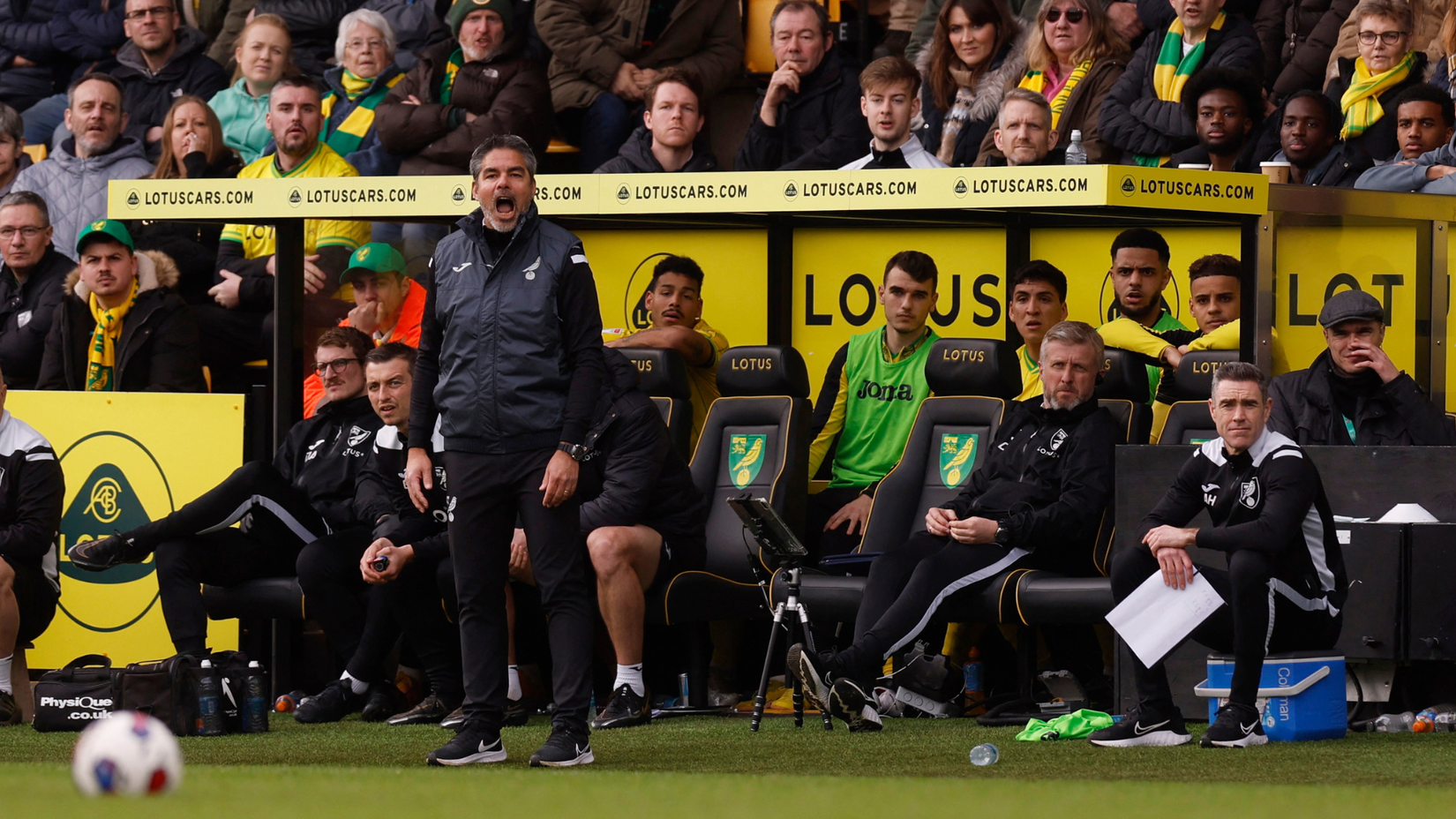 Norwich City: Lessons must be learned from Ben Knapper, Sydney Van ...