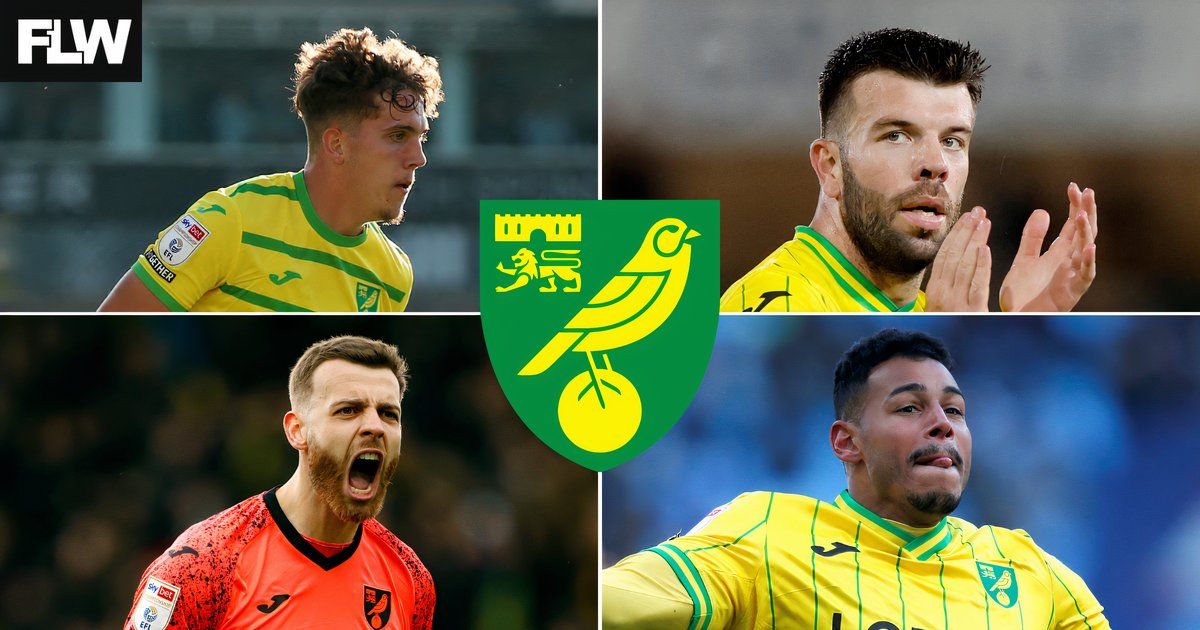 The Norwich City players who are going to leave in 2025 if nothing is done