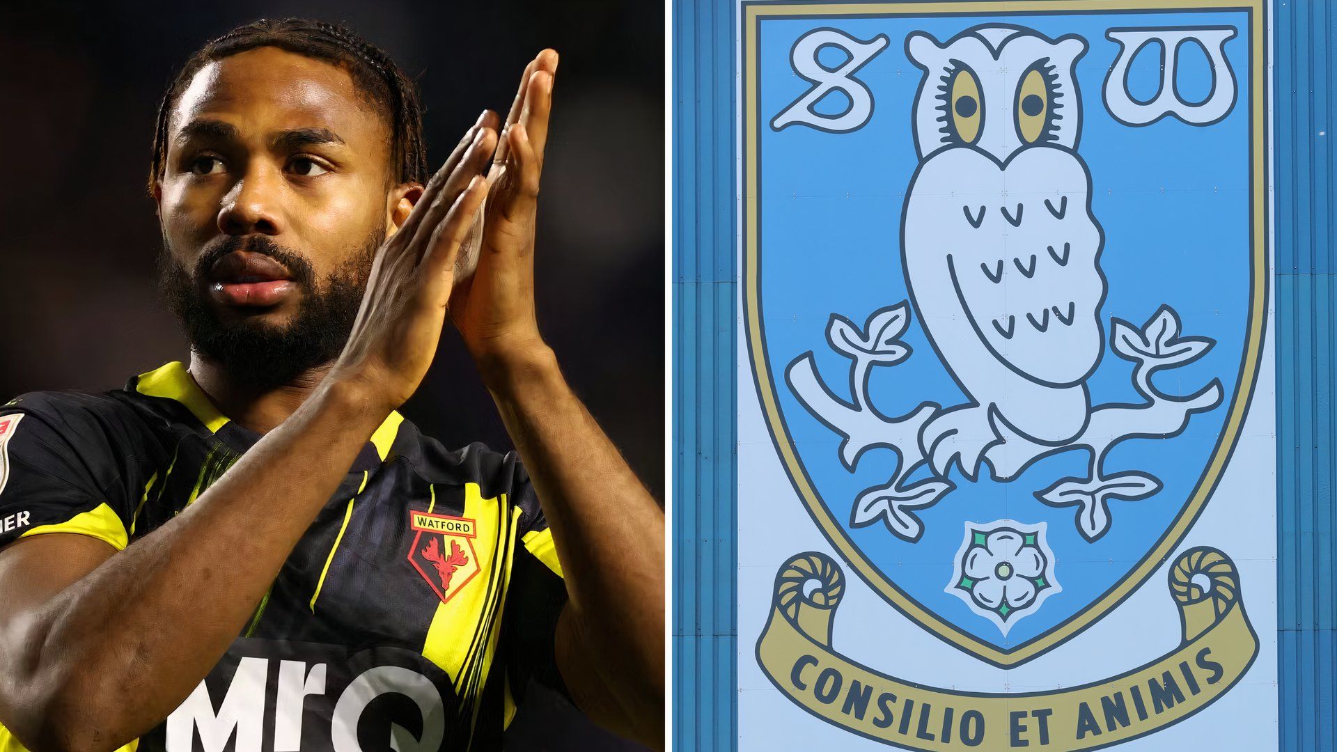 Sheffield Wednesday urged to avoid Nottingham Forest transfer