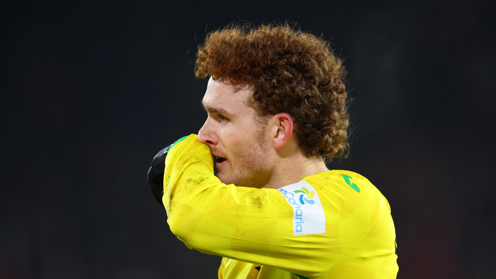 Southampton diingatkan telah buat kesalahan transfer serius terkait Josh Sargent