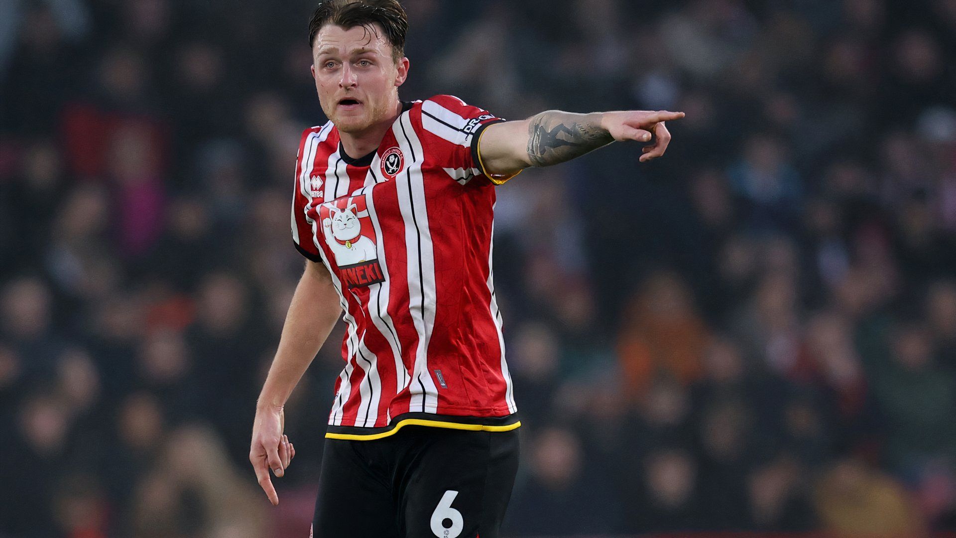 Harry Souttar at Sheffield United 