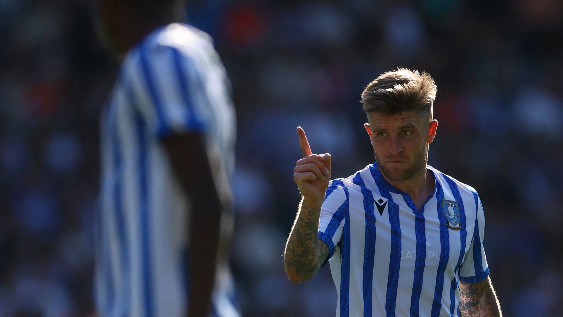 Josh Windass playing for Sheffield Wednesday