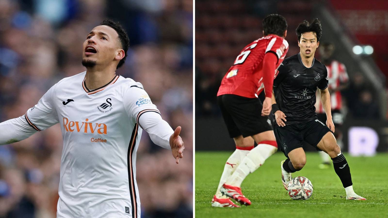 Cardiff City debacle shines light on Swansea City wing problem