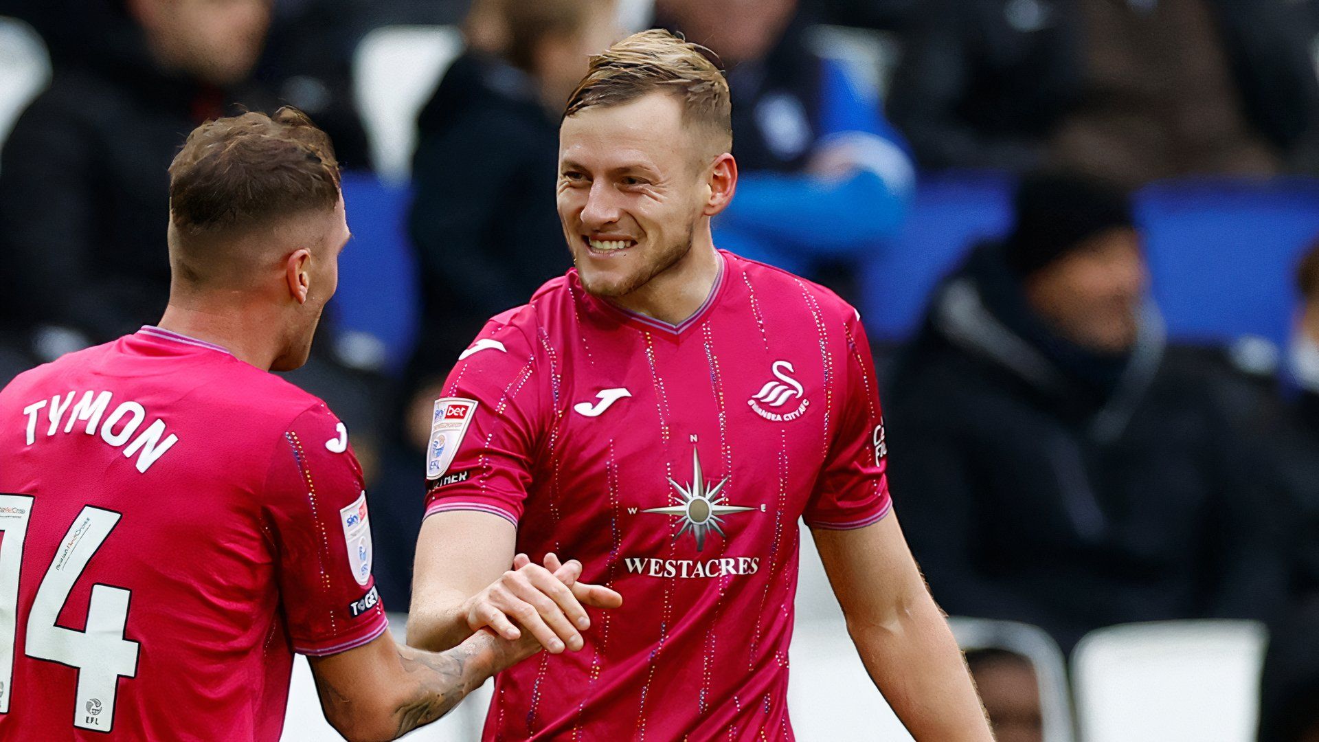 harry darling swansea city