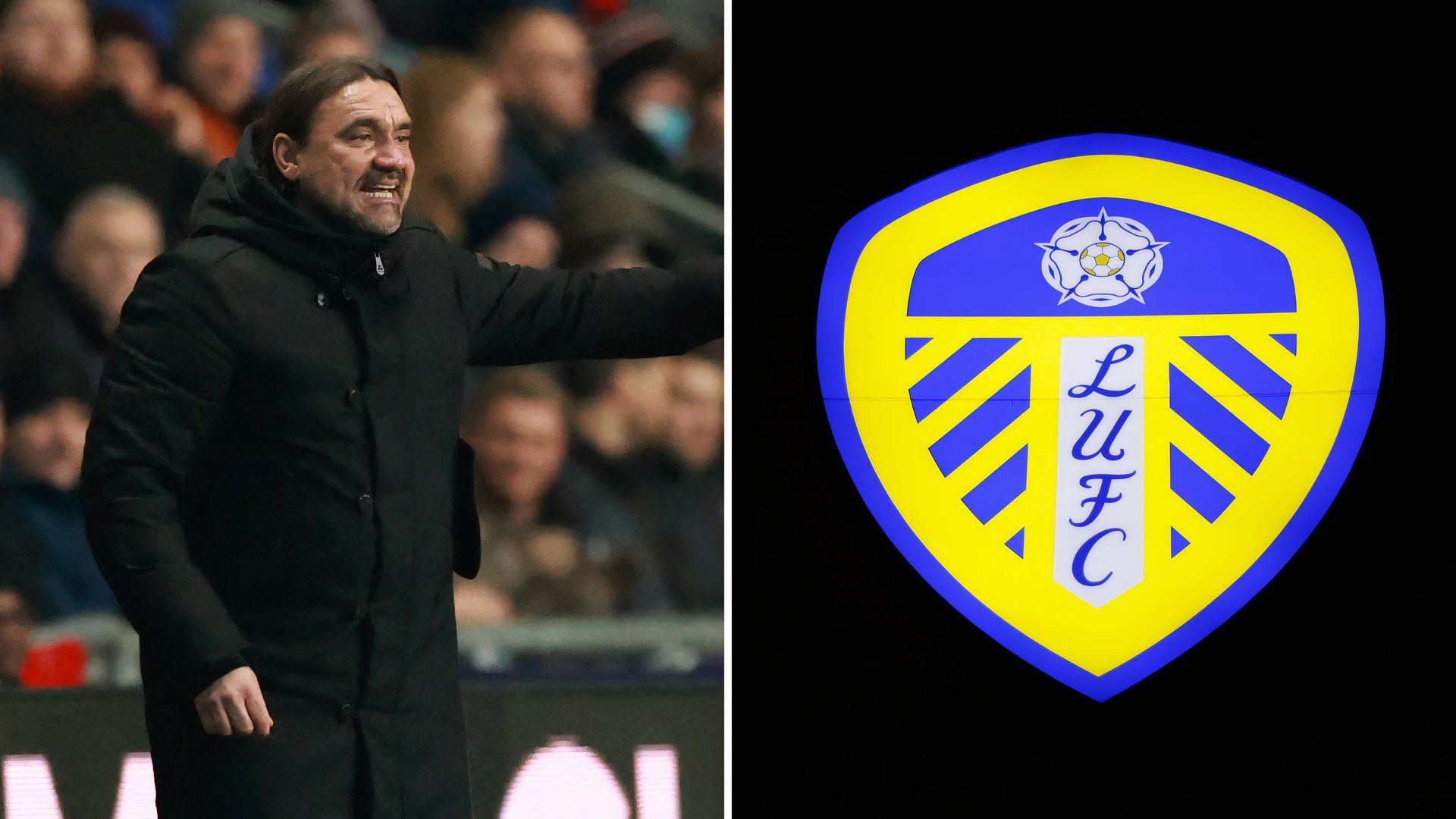 Daniel Farke x Leeds United