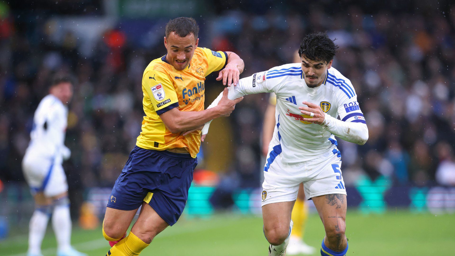 Kane Wilson, Pascal Strujik - Leeds United v Derby County
