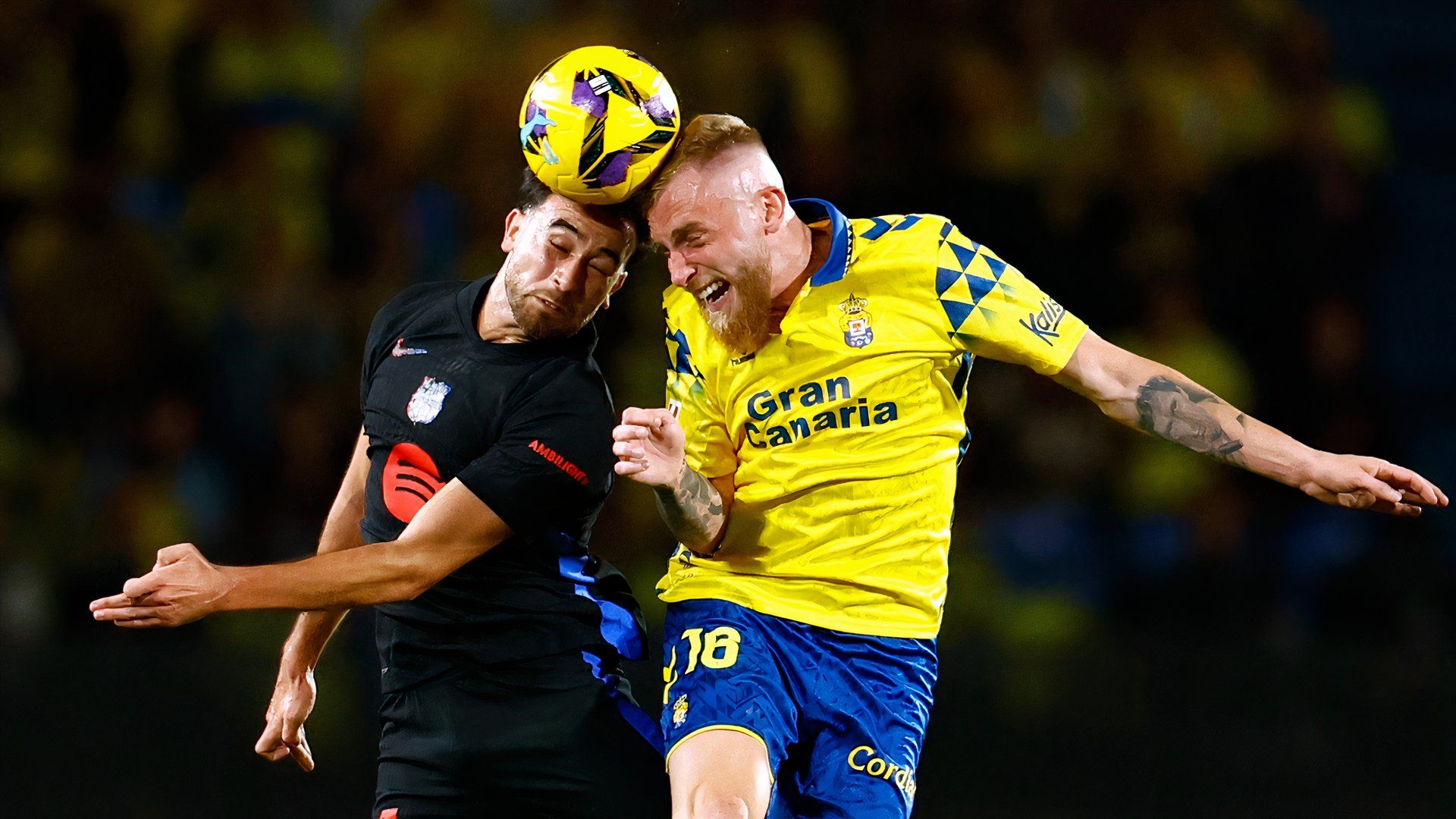 MixCollage-27-Feb-2025-10-25-AM-7633