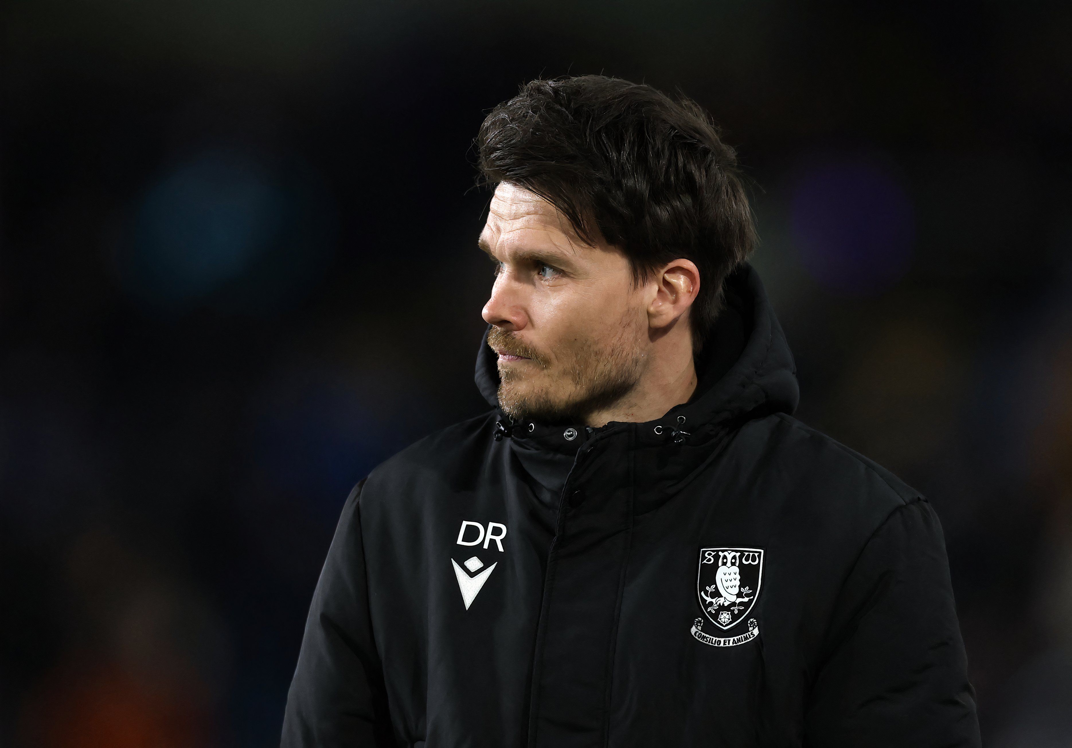 danny rohl sheffield wednesday manager