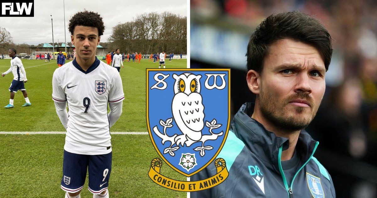 Sheffield Wednesday expecting Premier League offers for Caelan-Kole  Cadamarteri