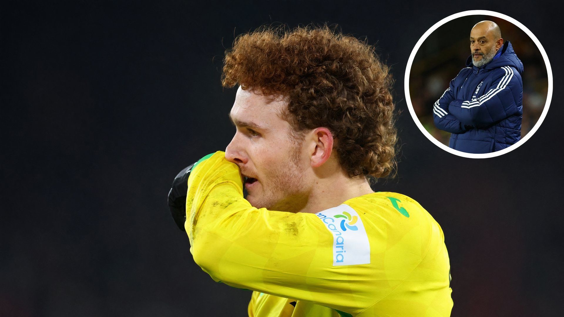 How much Josh Sargent earns a week at Norwich City as Nottingham Forest chase move