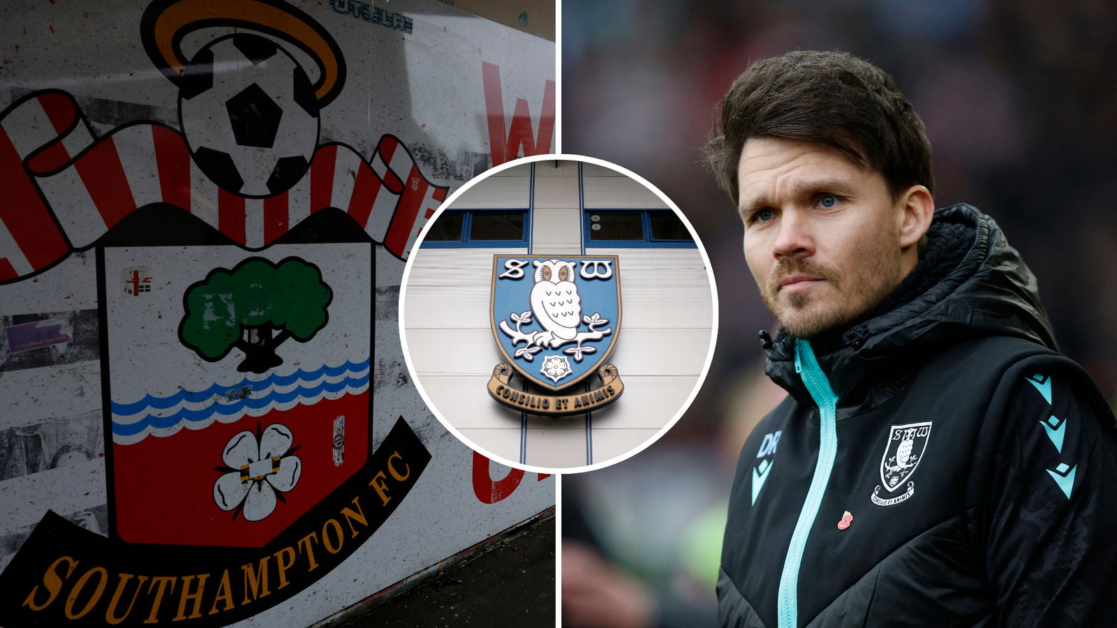 Sheffield Wednesday: Southampton's new confidence in Danny Rohl ...