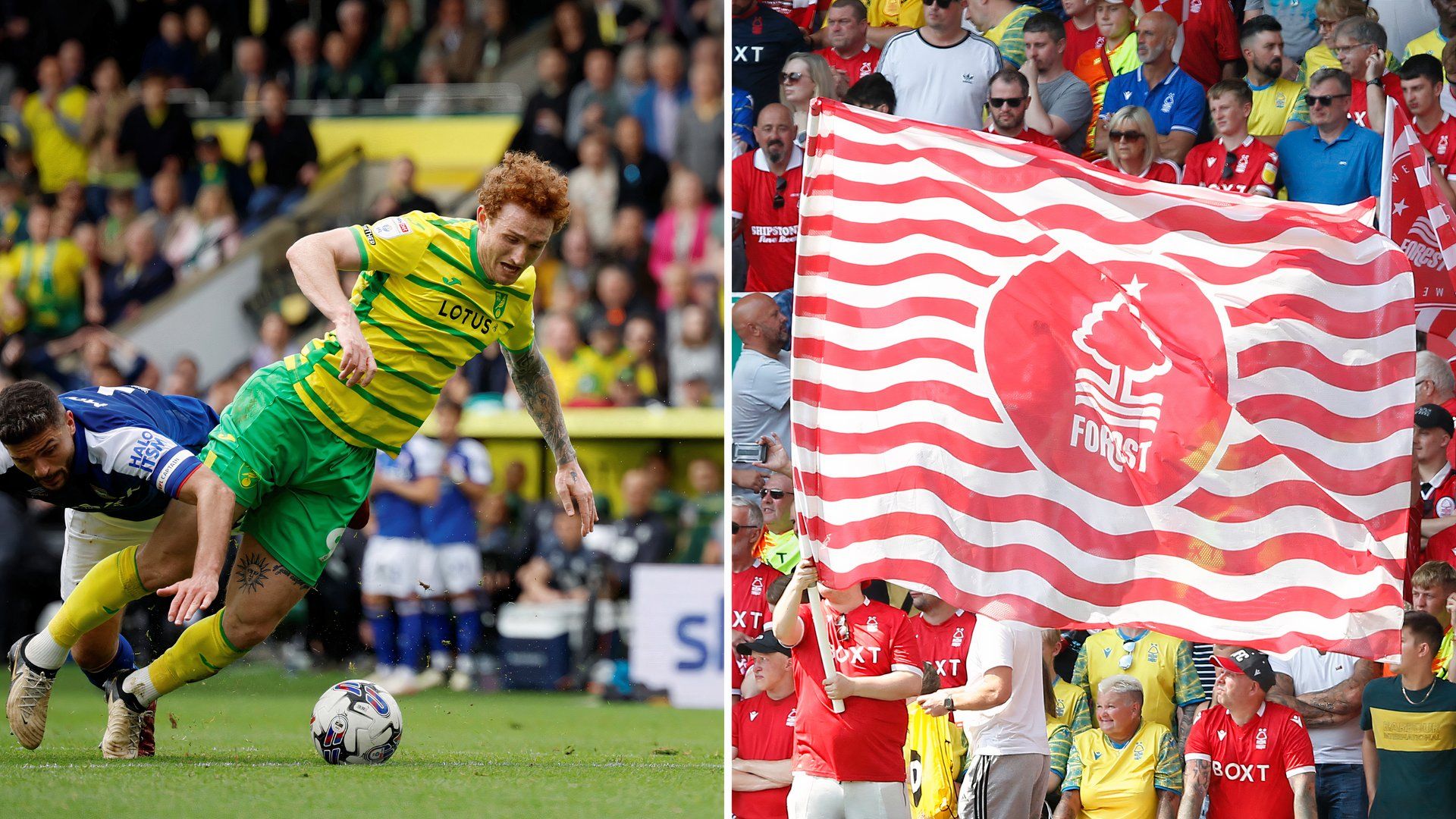 How Josh Sargent's wages could rise if he left Norwich City for Nottingham  Forest this summer