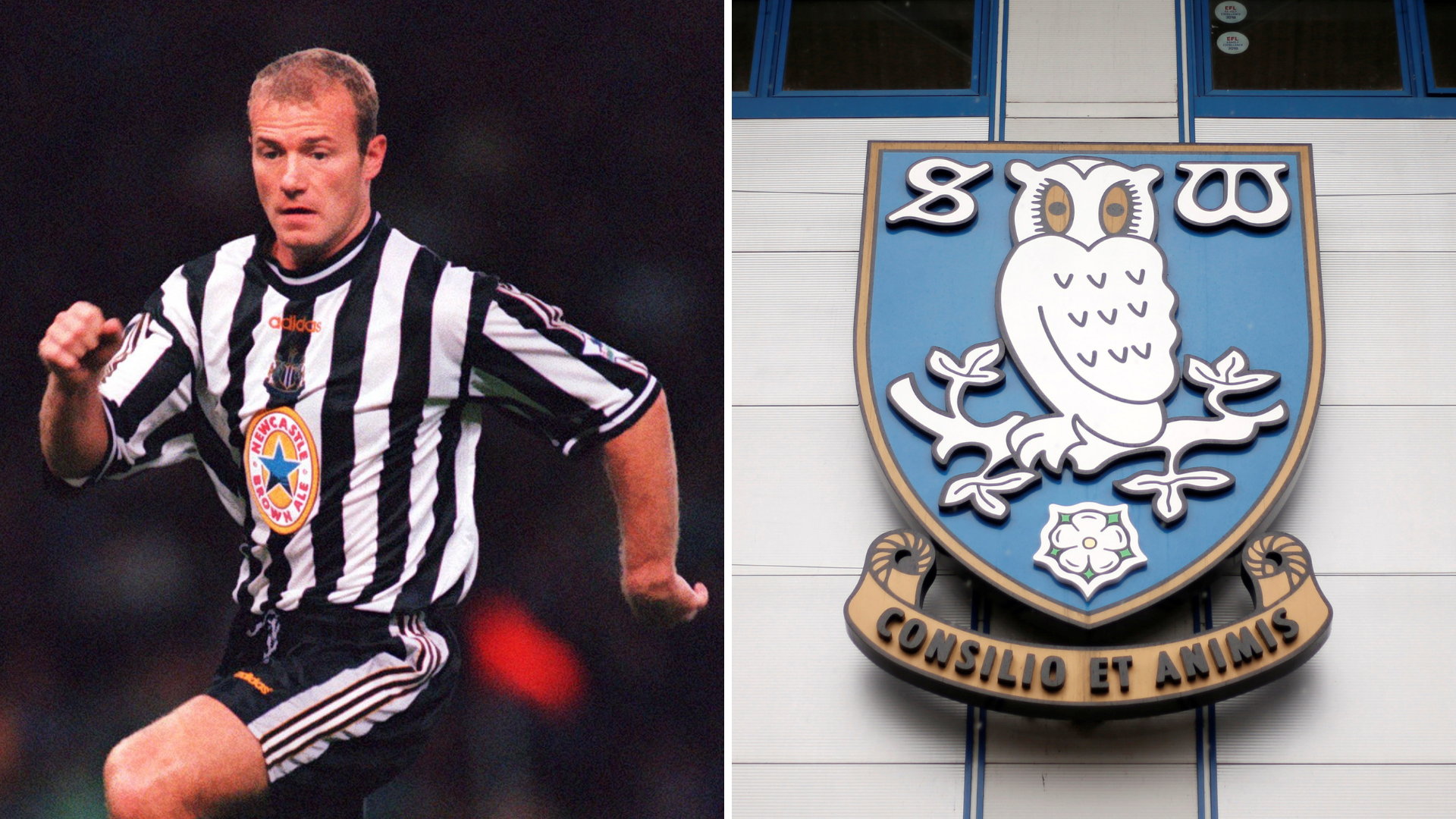 alan shearer sheffield wednesday