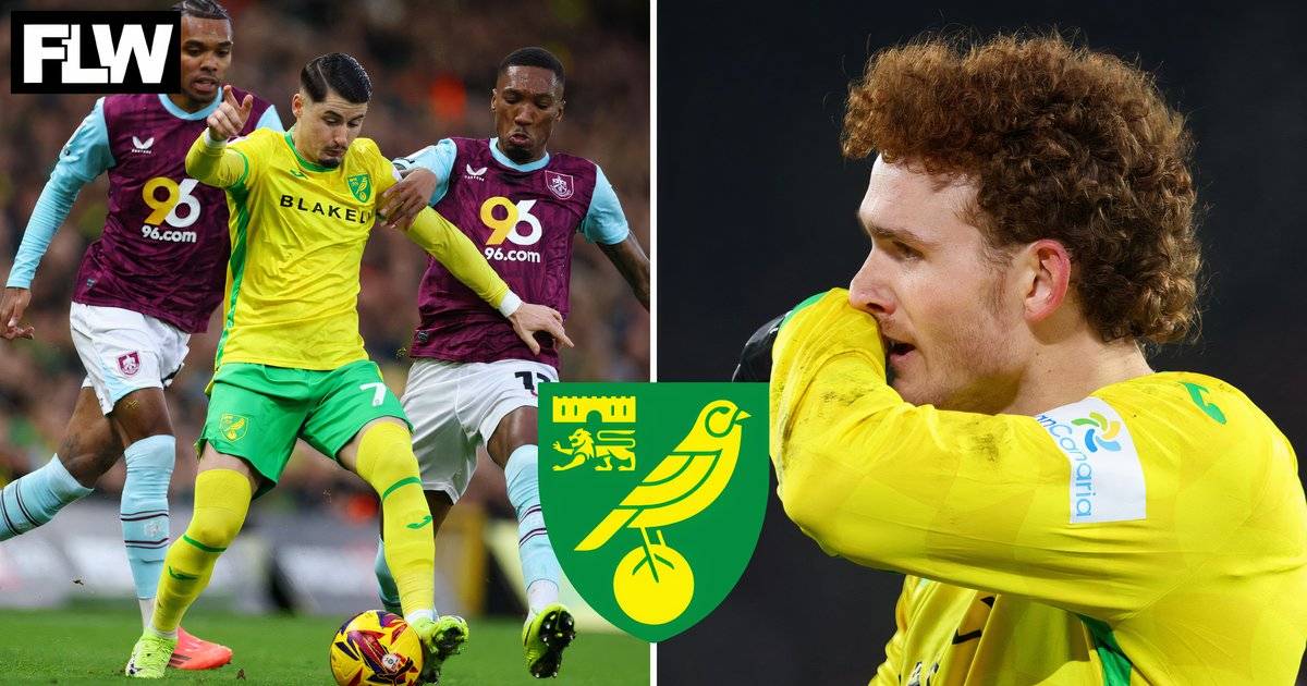 Ben Knapper drops Norwich City transfer update with Sainz, Sargent ...