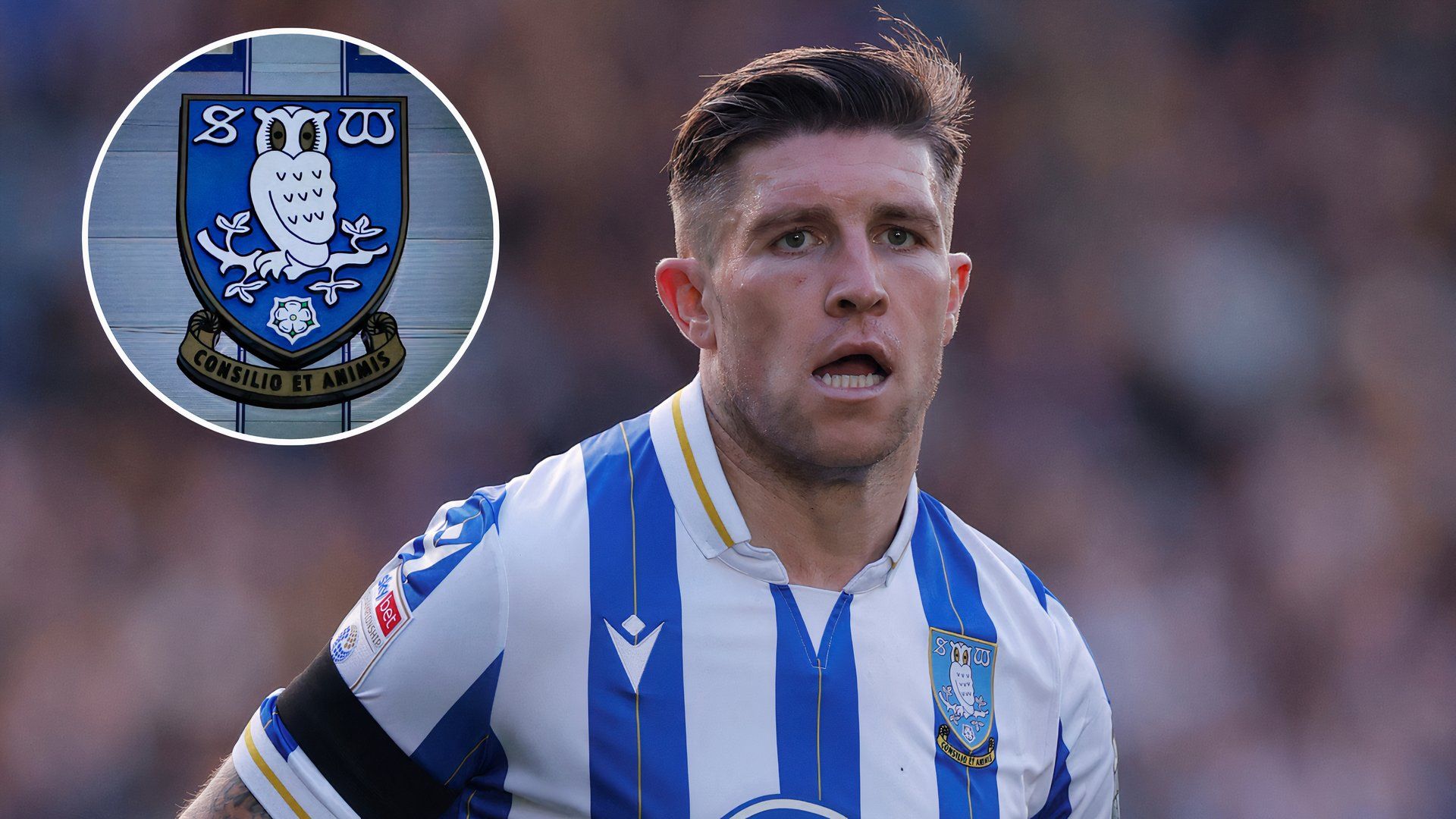 Sheffield Wednesday: Josh Windass decision could end up backfiring on Dejphon  Chansiri