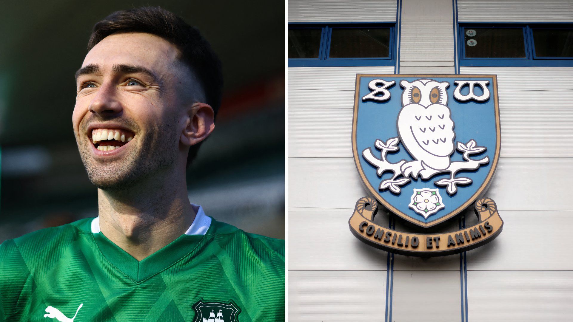 Ryan Hardie - Sheffield Wednesday