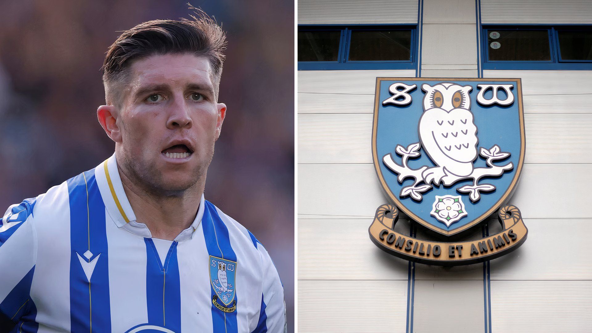 Josh Windass - Sheffield Wednesday
