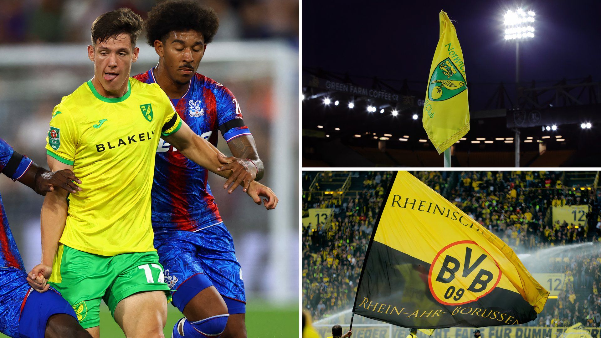 Norwich City: Josh Sargent factor mentioned in Ante Crnac exit debate
