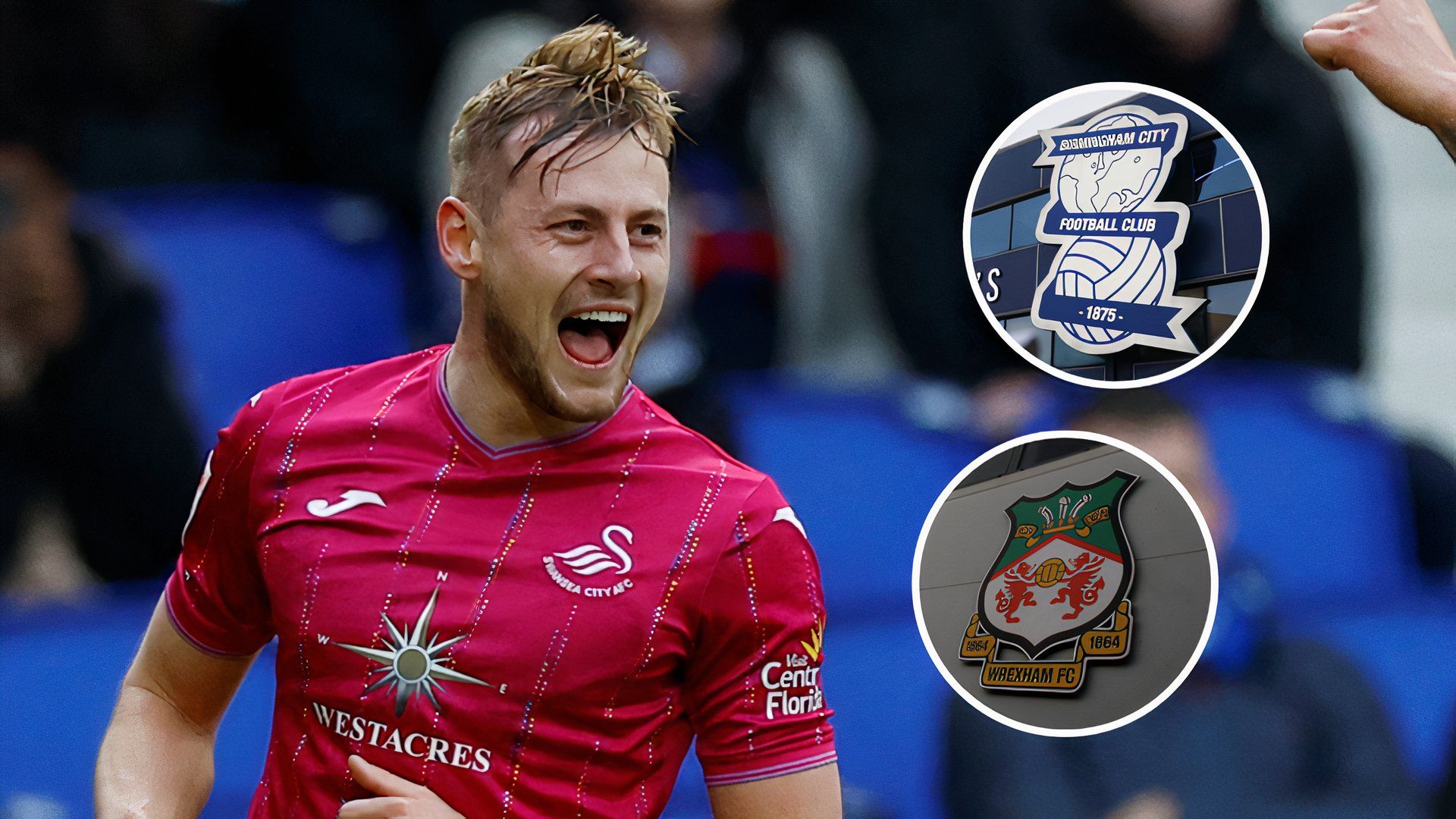 harry darling blues wrexham 