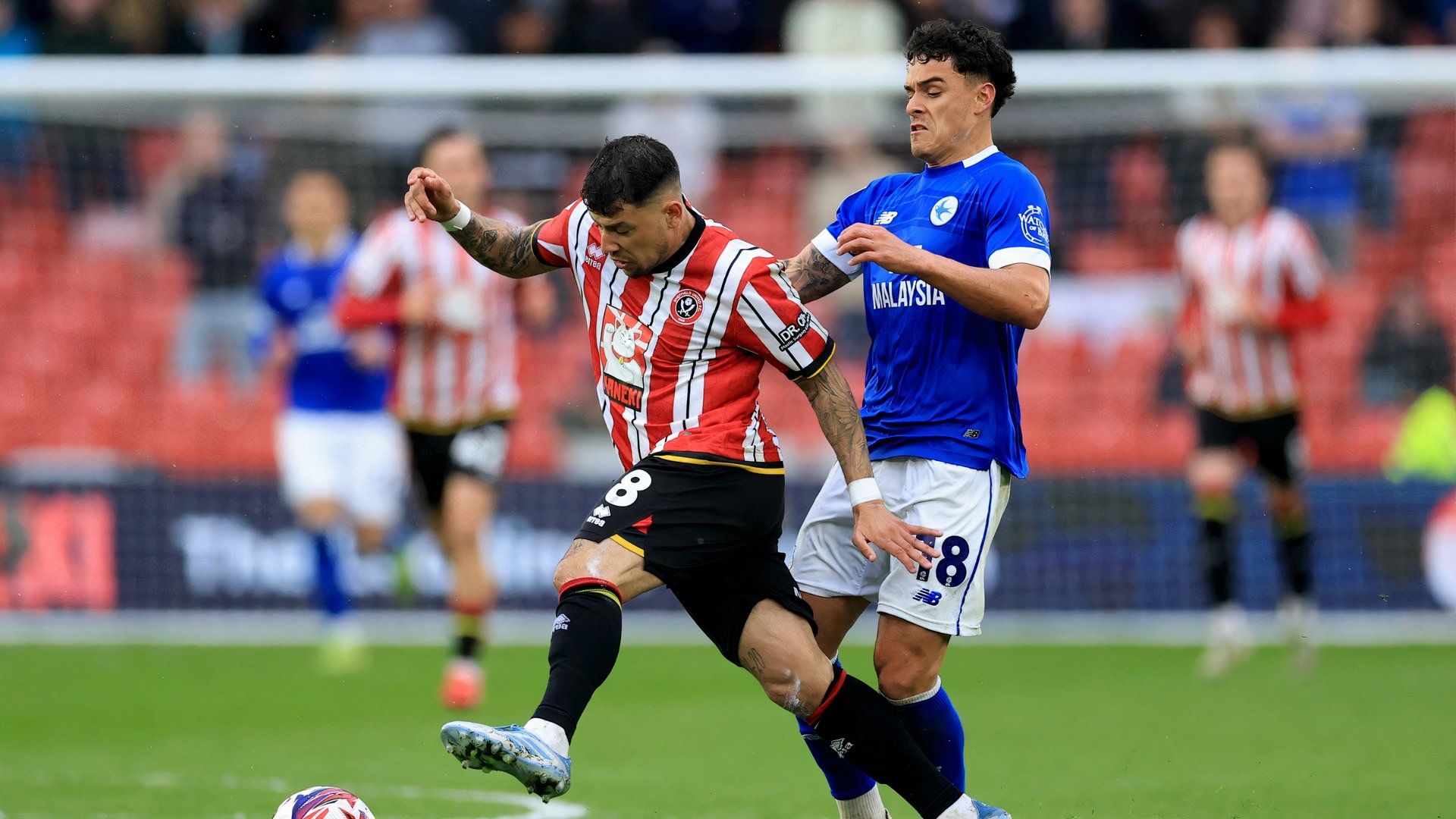 Sheffield United's Gustavo Hamer in action with Cardiff City's Alex Robertson