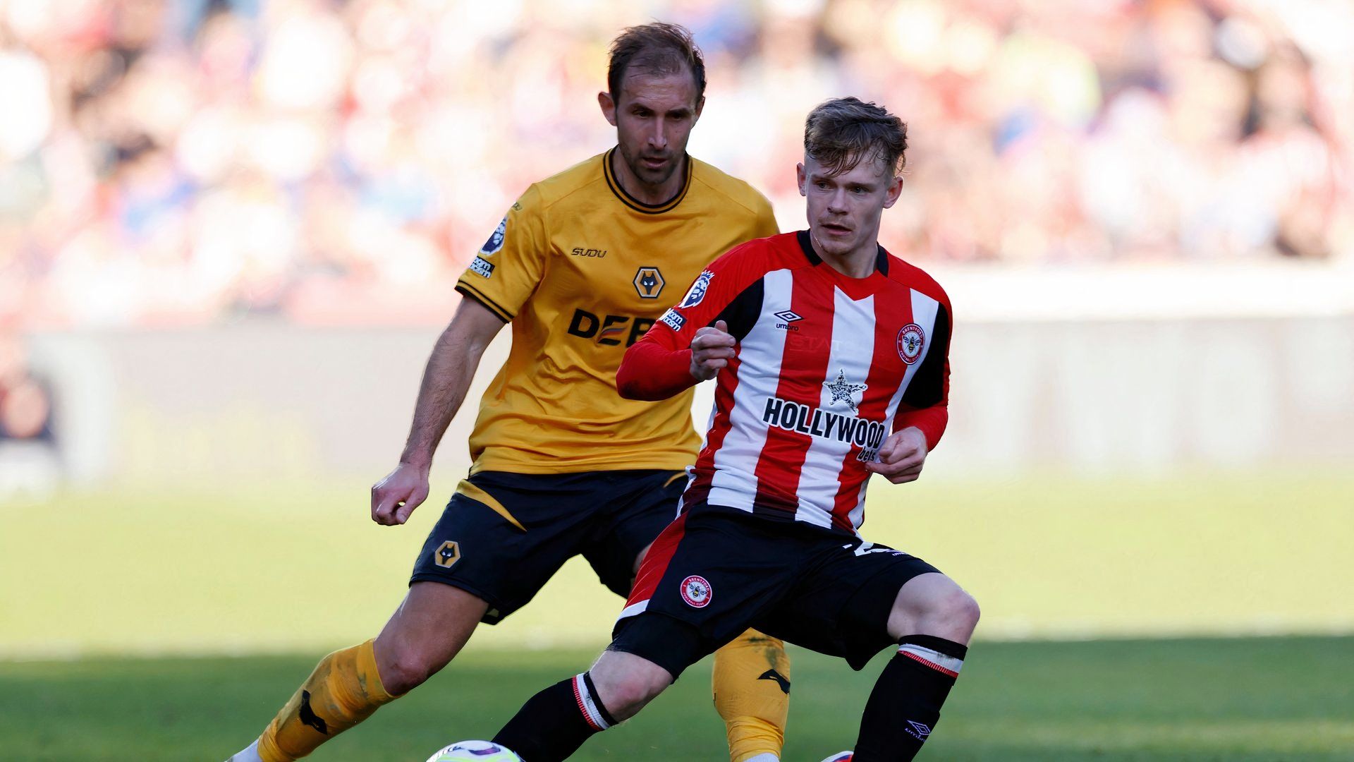 Craig Dawson for Wolves vs Brentford