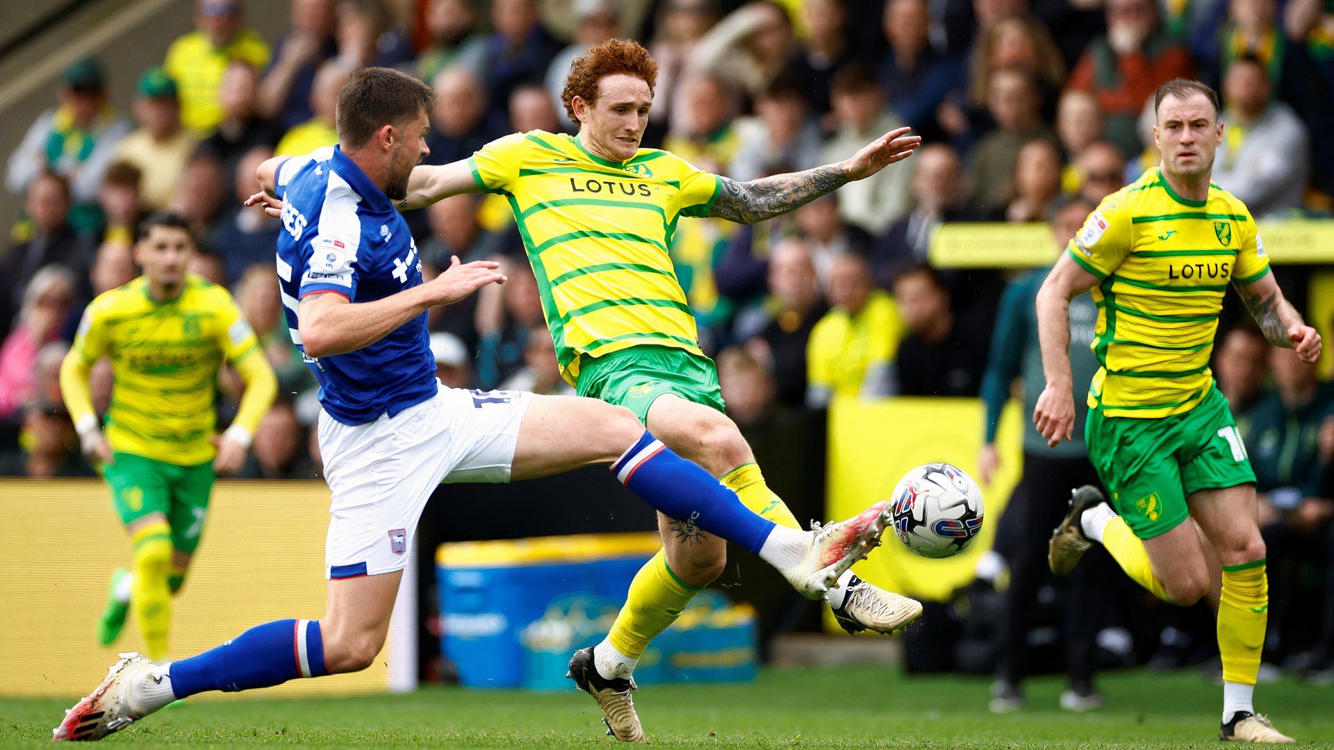 Josh Sargent for Norwich City