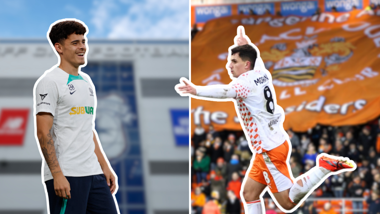 Cardiff City should raid Steve Bruce's Blackpool for Albie Morgan amid ...