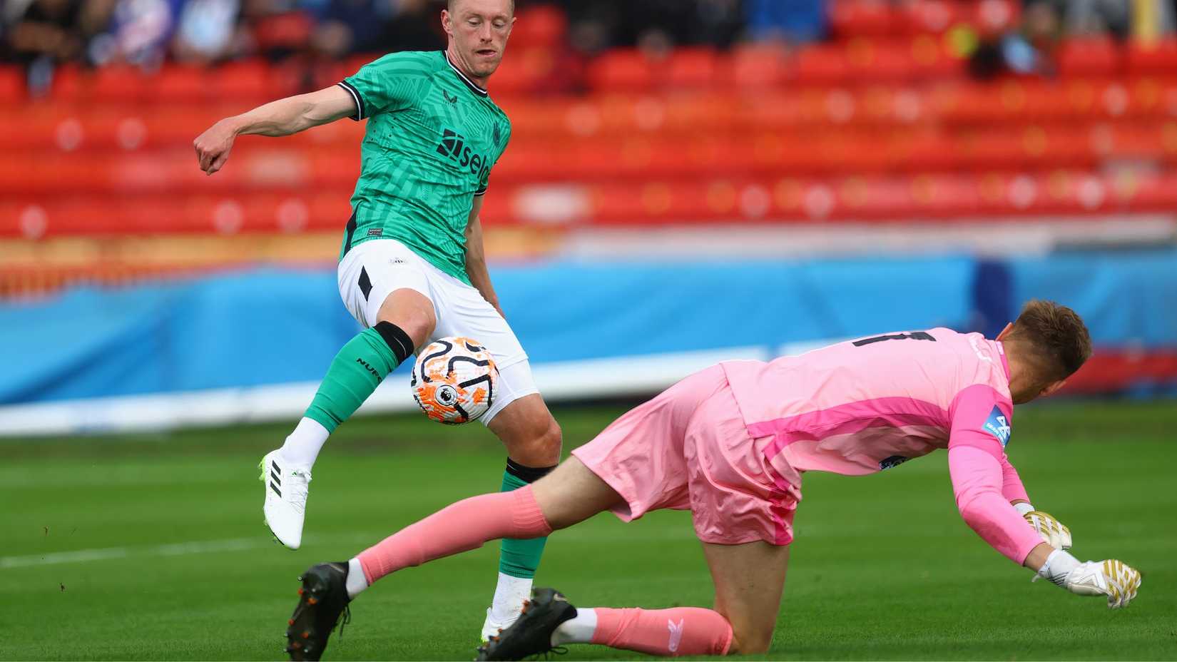 Plymouth Argyle news: Brighton striker wanted, Norwich City deal close ...