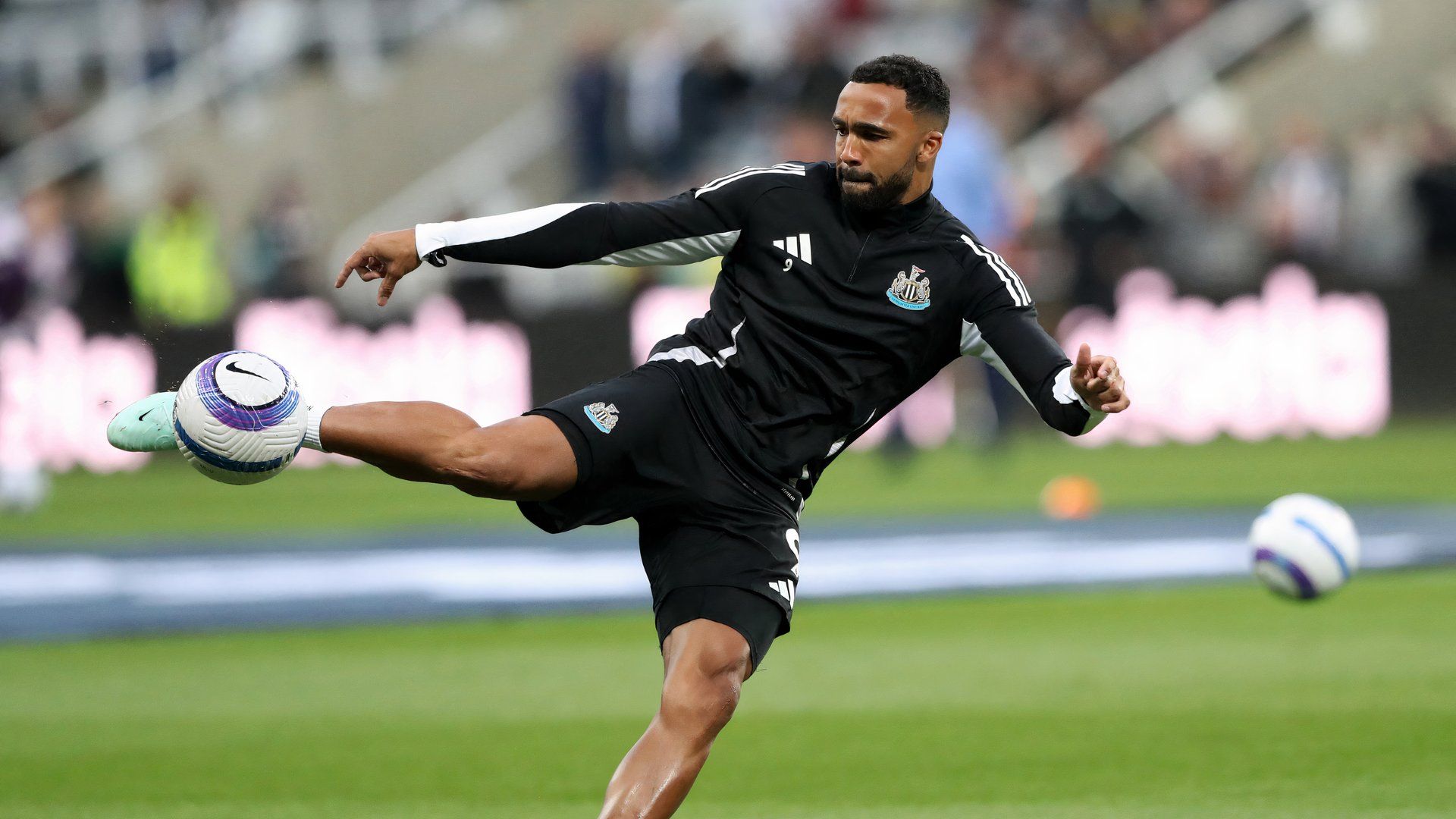 Callum Wilson for Newcastle United