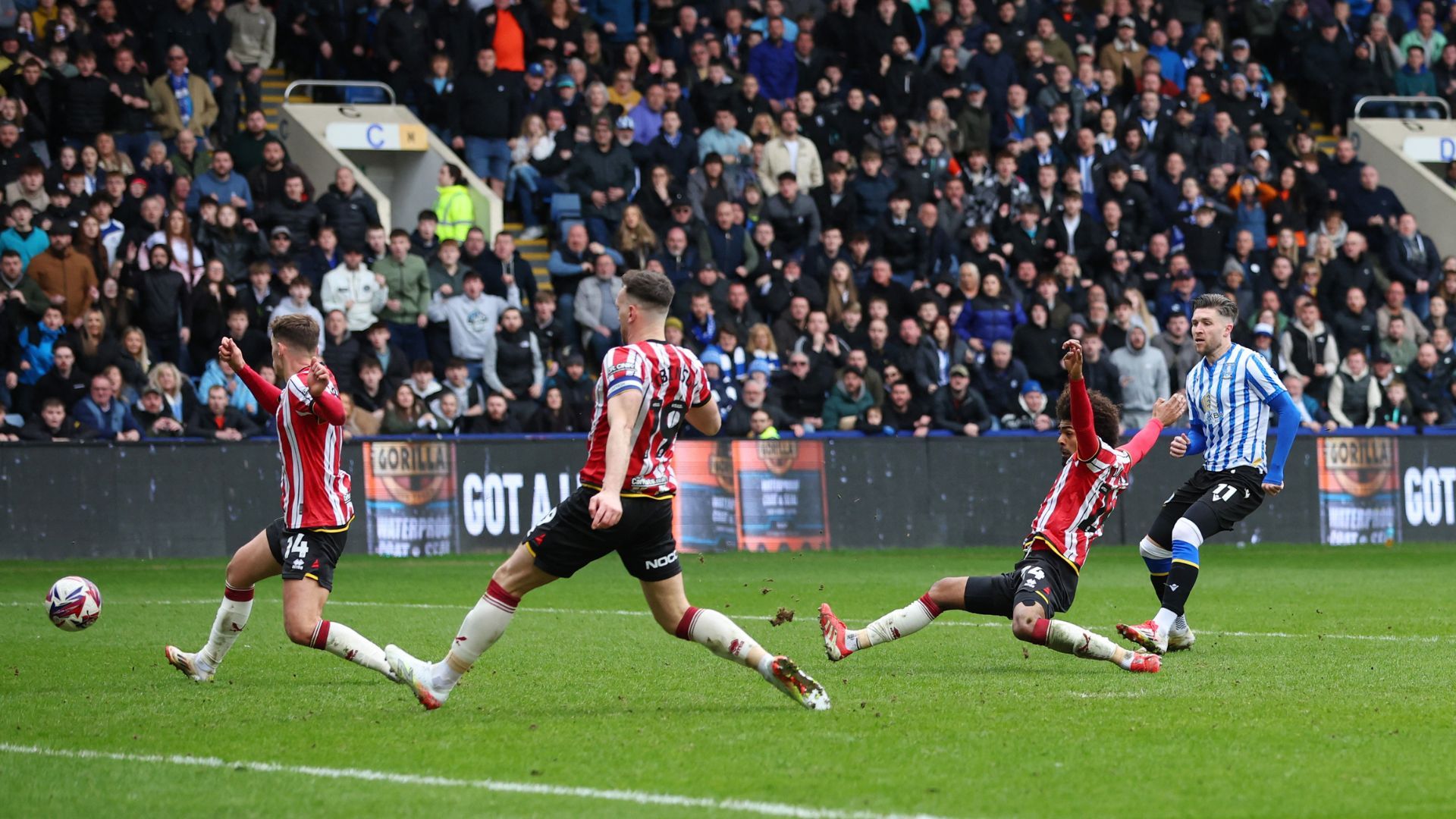 Josh Windass scores in Sheffield derby