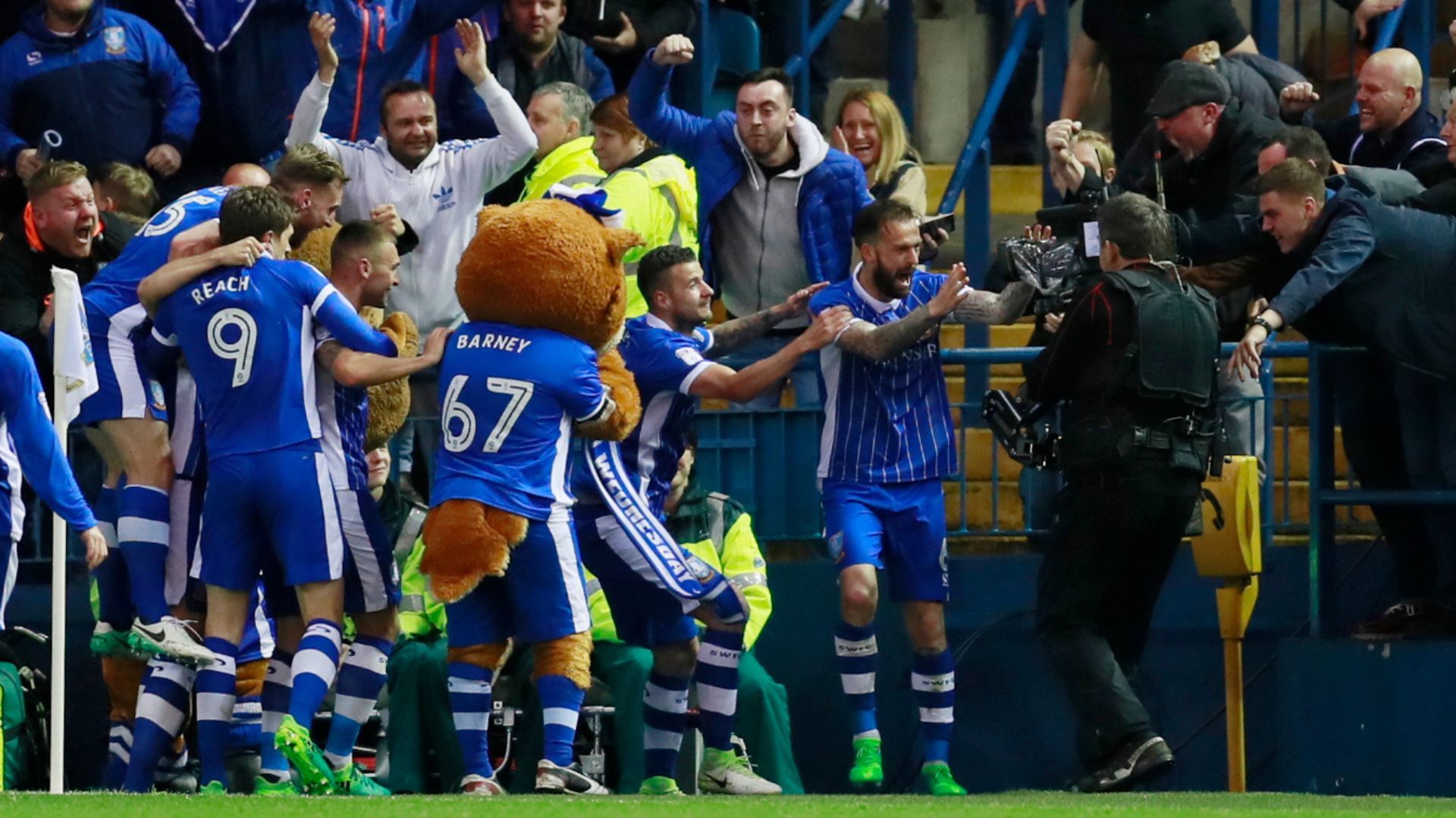 Sheffield Wednesday players celebrating scoring