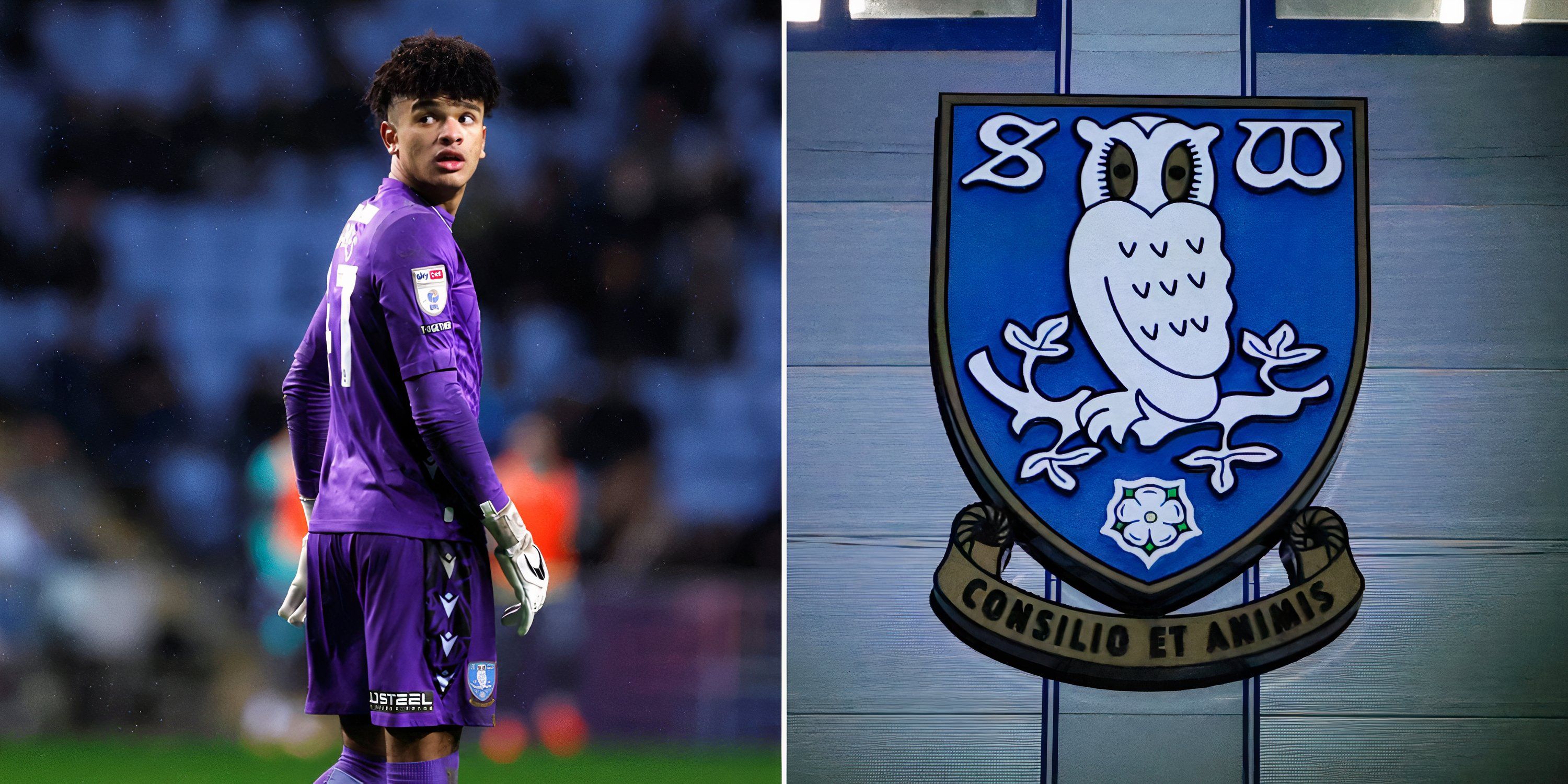 Penggemar Sheffield Wednesday Marah Online Setelah Update Besar Pierce Charles