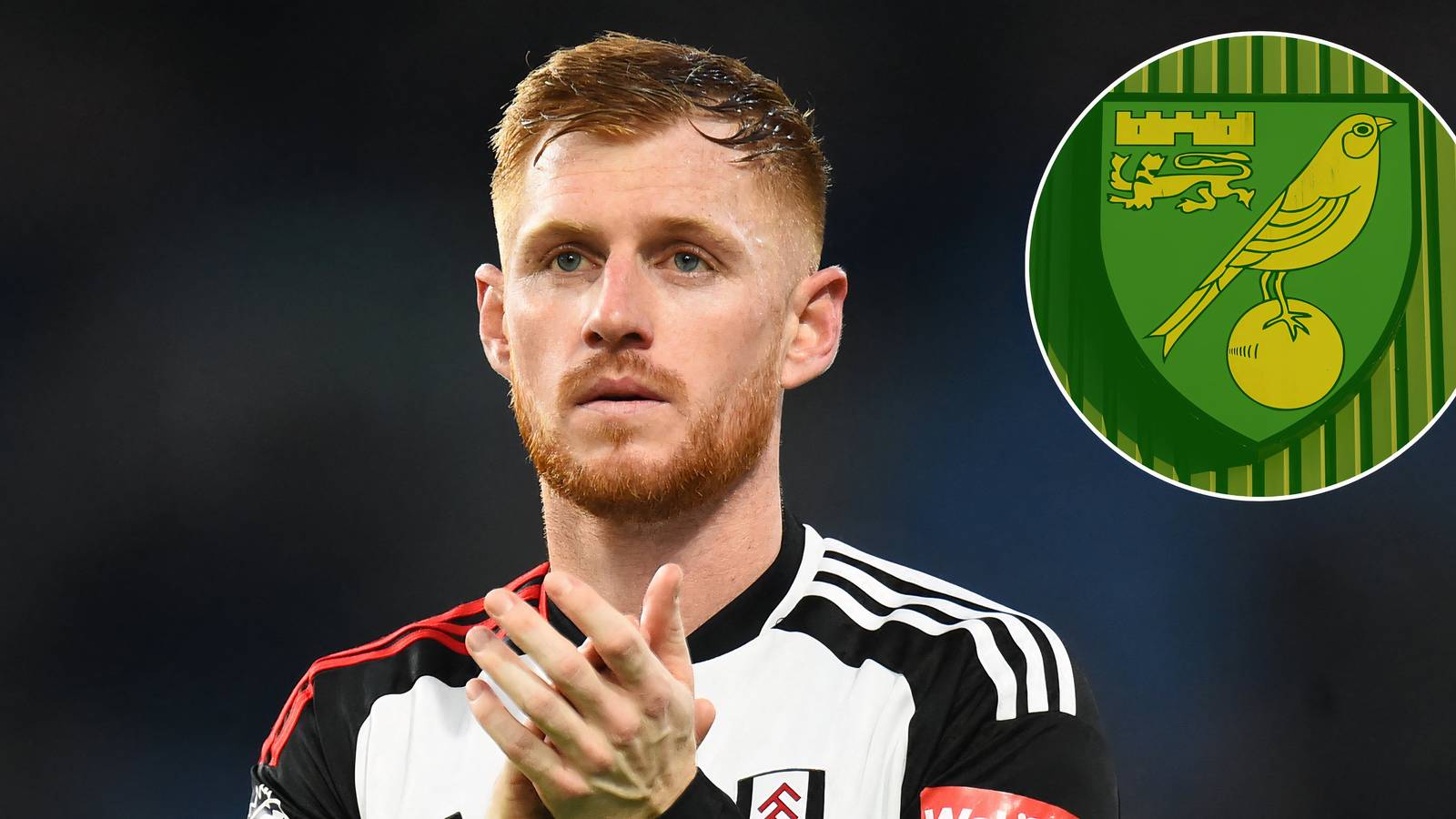 Norwich City should plot transfer reunion with Fulham man - He knows ...